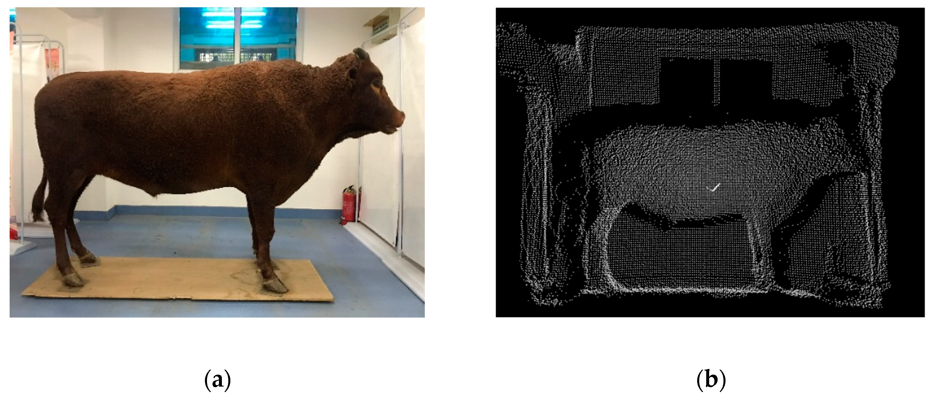 Sensors 19 05046 g005 Sensors 19 05046 g005