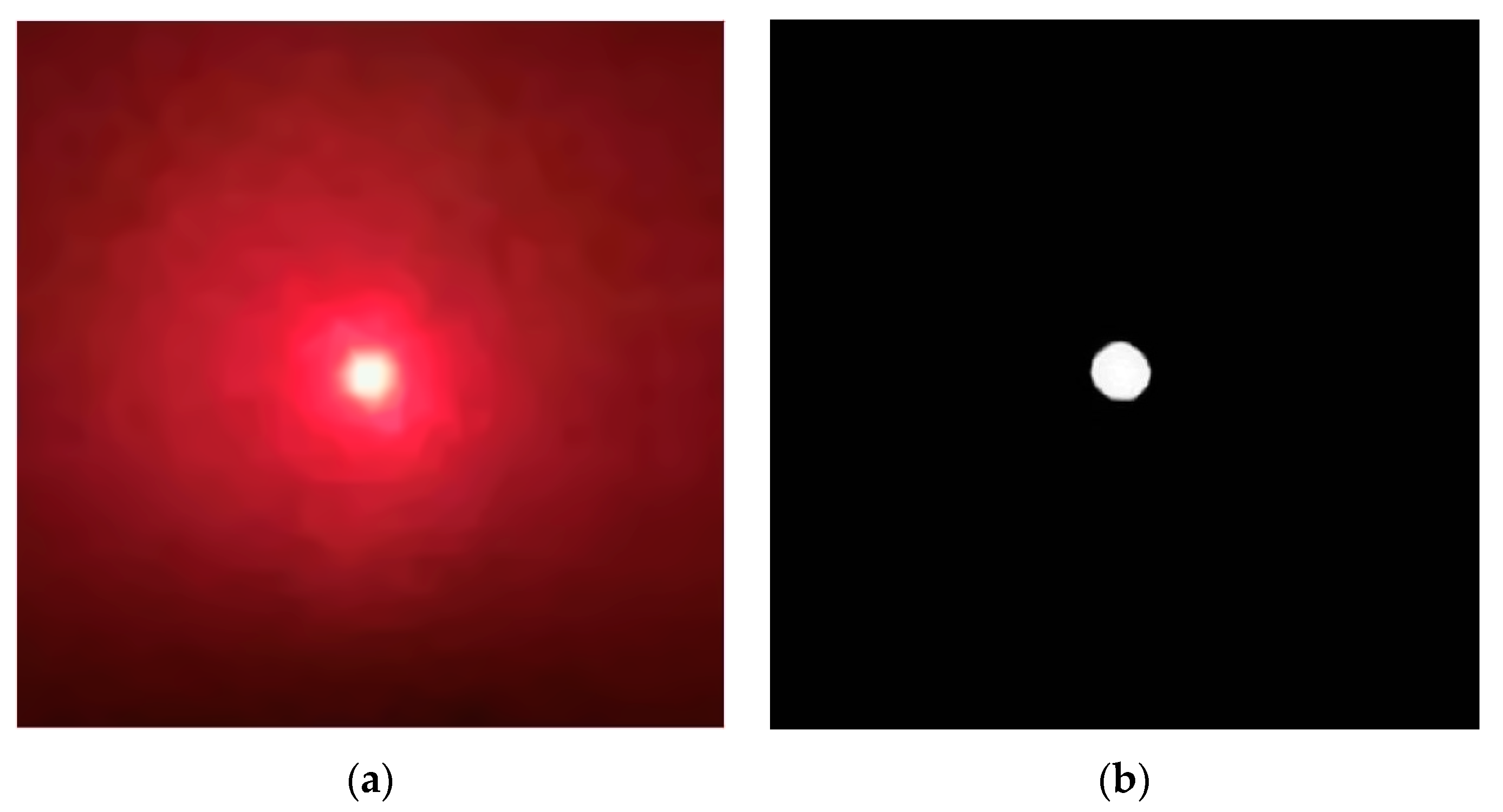 Sensors 19 05059 g003