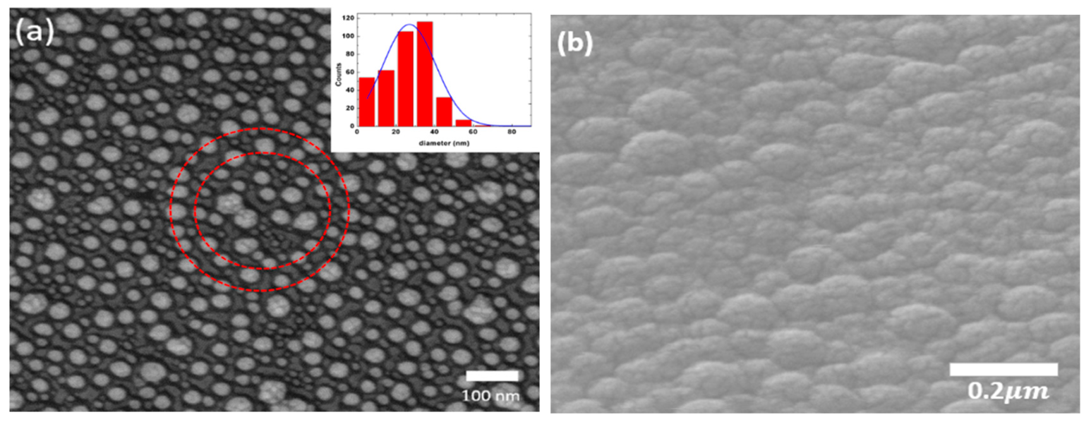 Sensors 19 05061 g001 Sensors 19 05061 g001