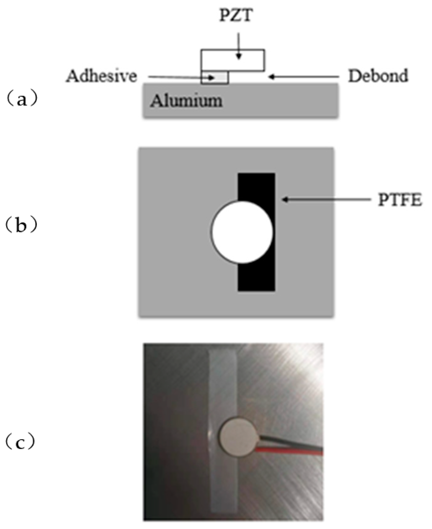 Sensors 19 05070 g008