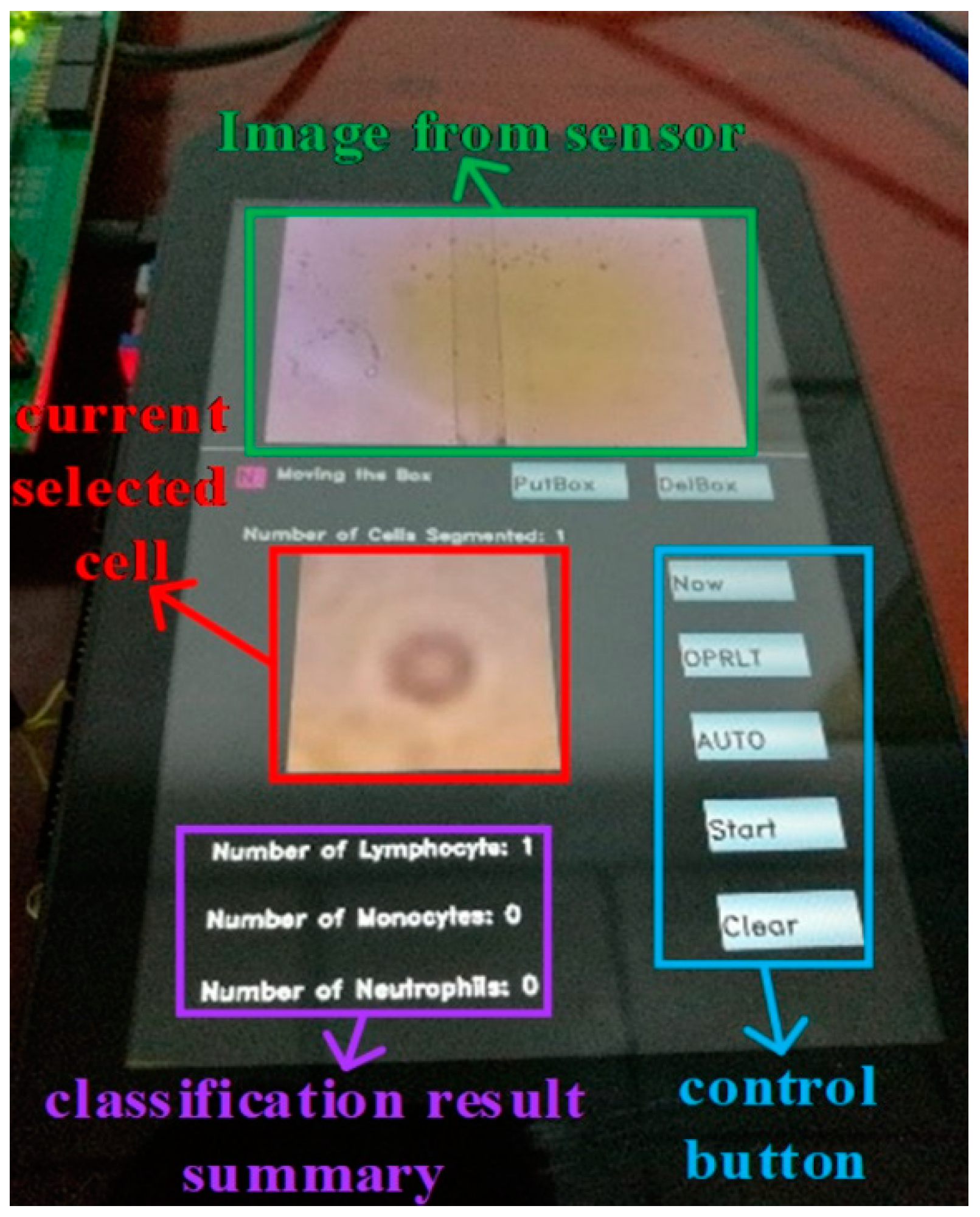 Sensors 19 05103 g015