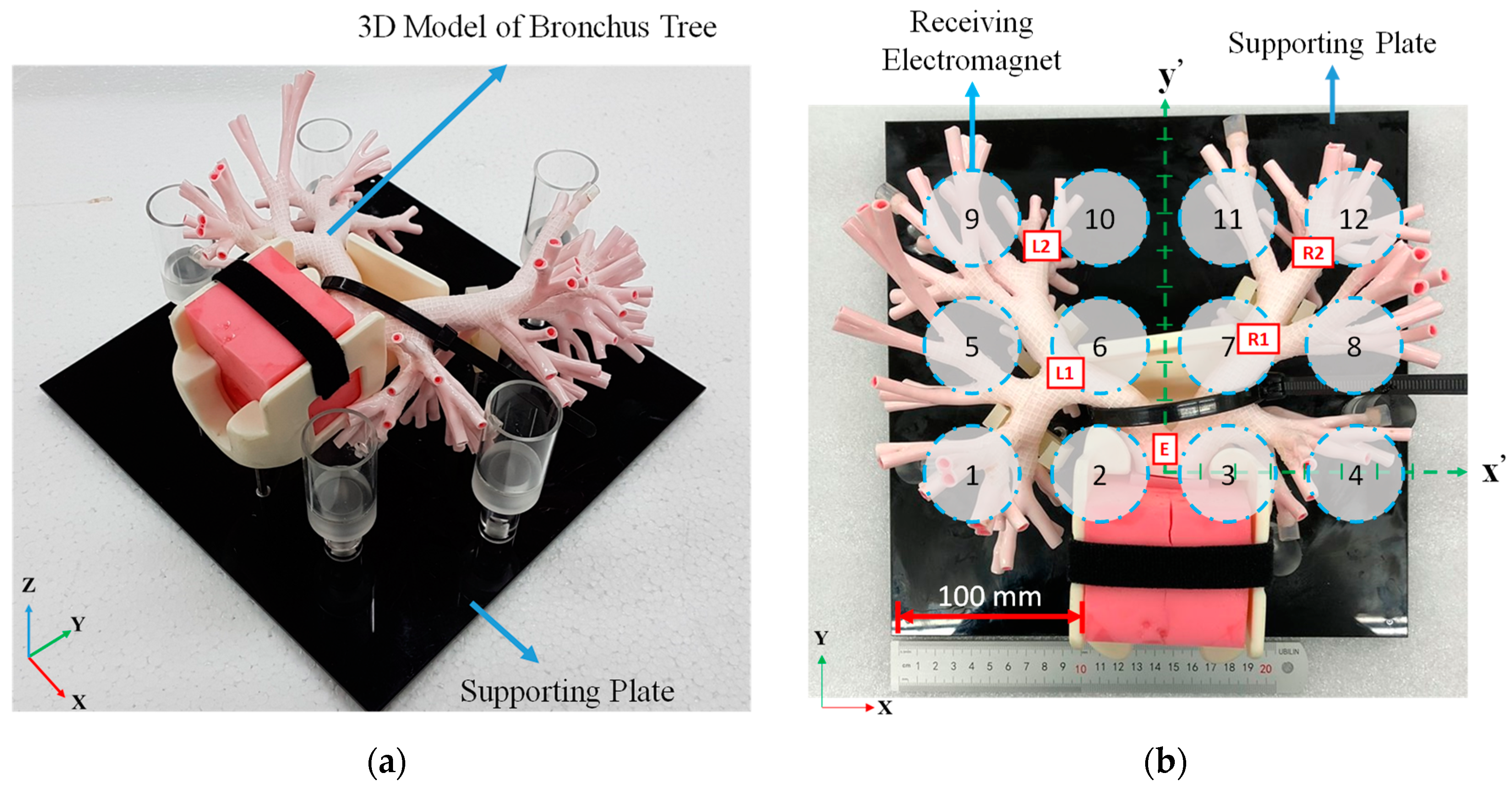 Sensors 19 05105 g007