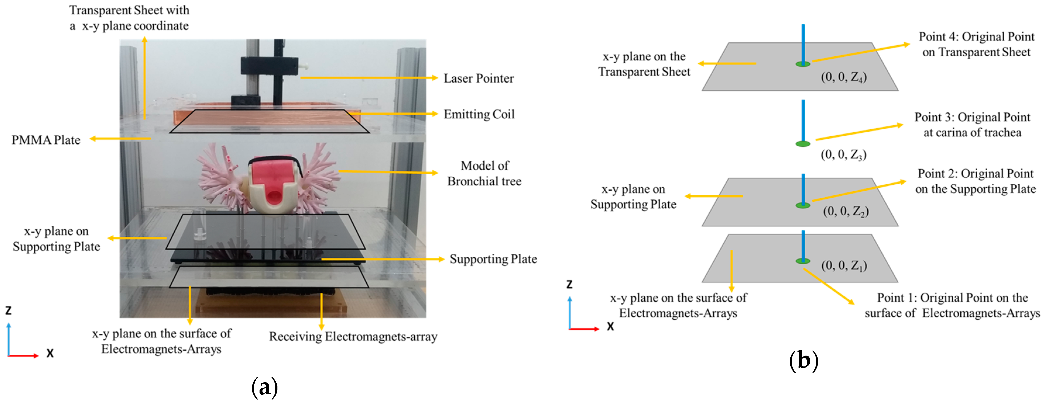 Sensors 19 05105 g008a