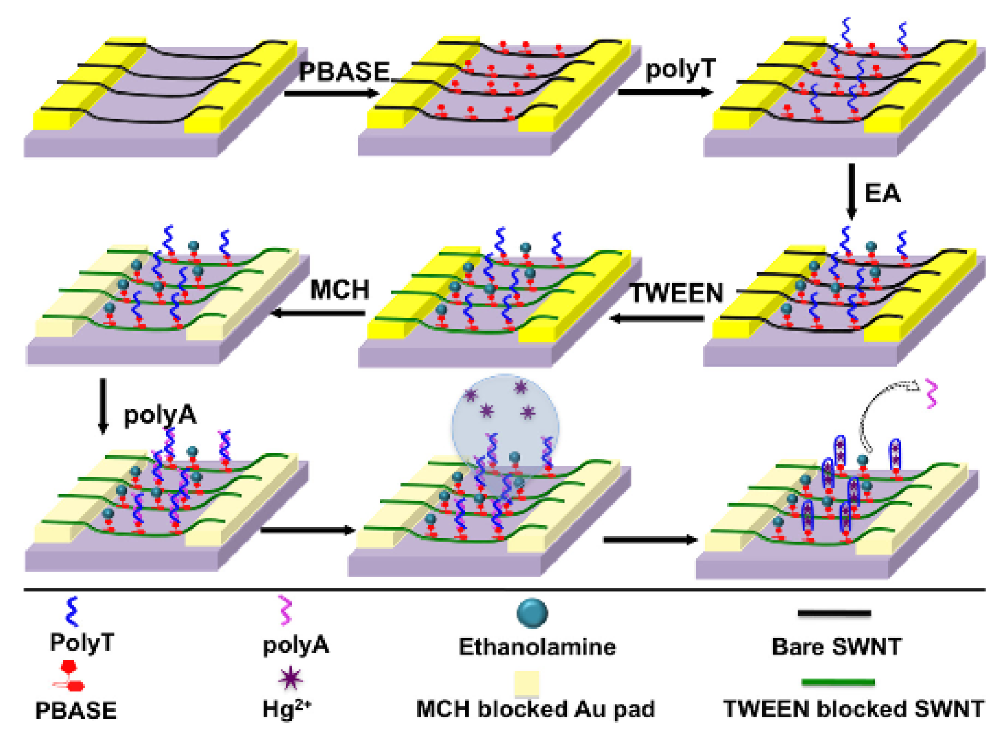 Sensors 19 05134 g011