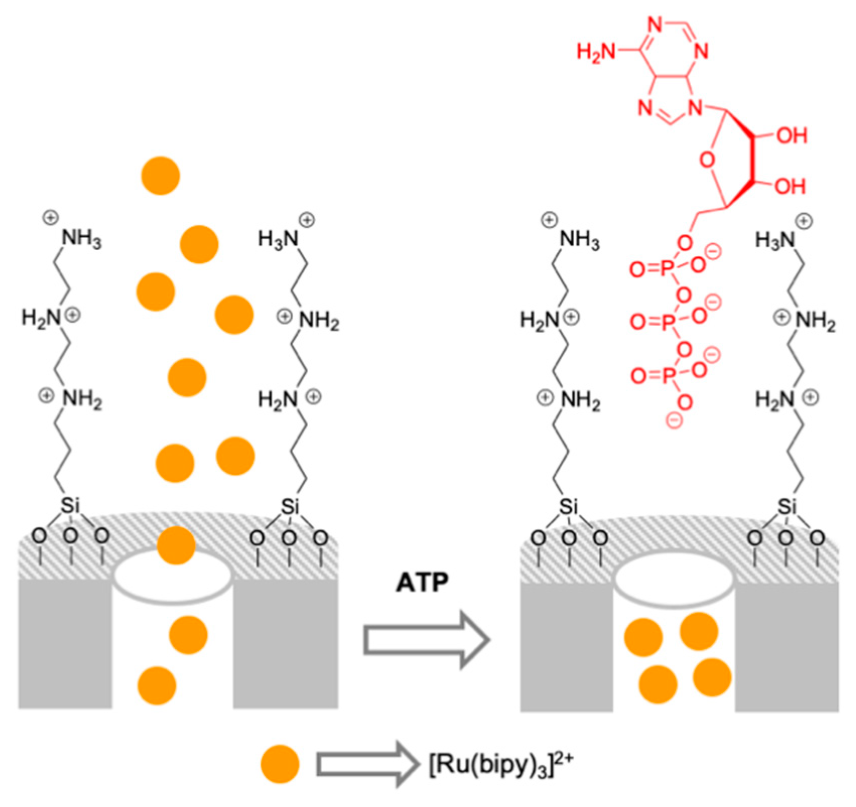 Sensors 19 05138 g007 Sensors 19 05138 g007