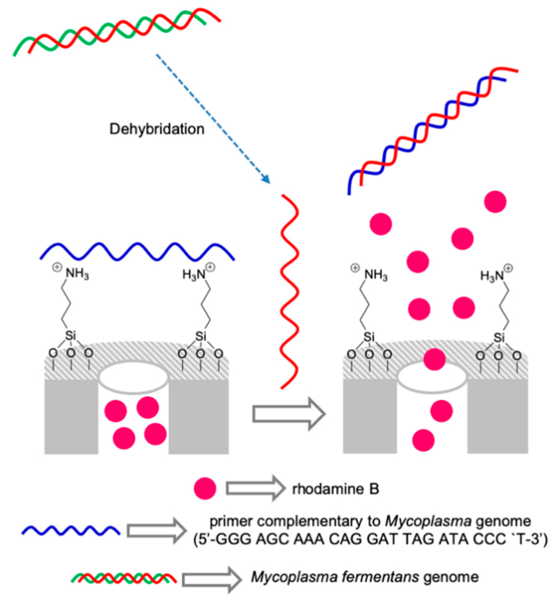 Sensors 19 05138 g008 Sensors 19 05138 g008