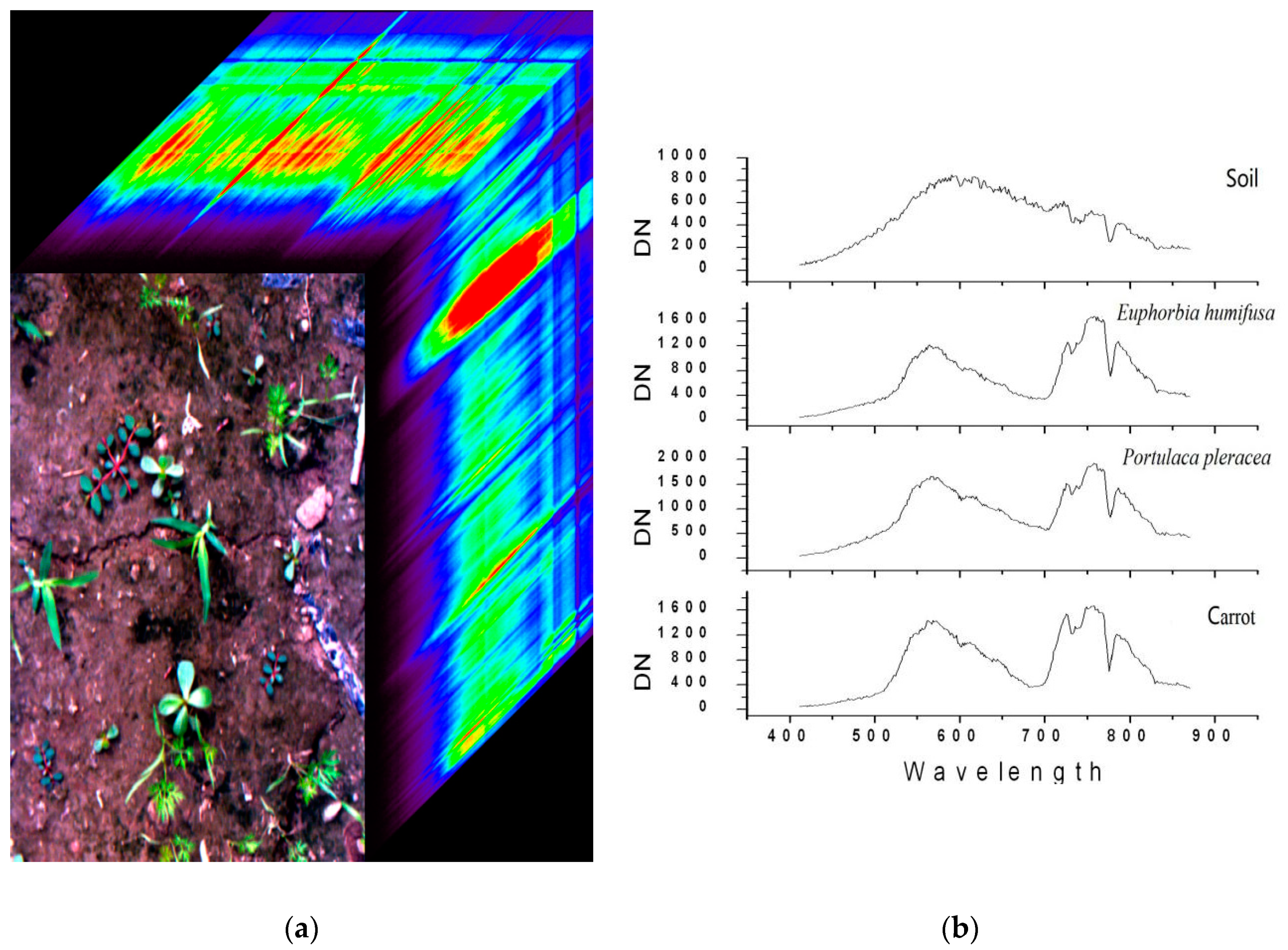 Sensors 19 05154 g003 550