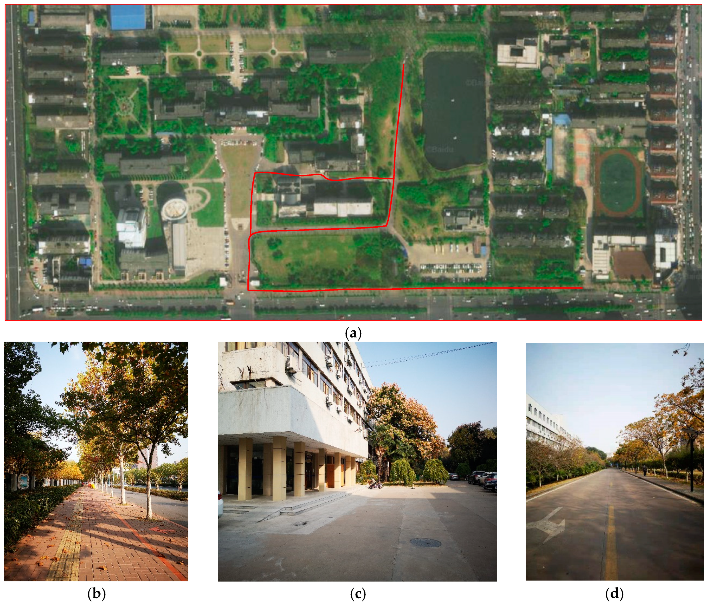 Sensors 19 05180 g006 550