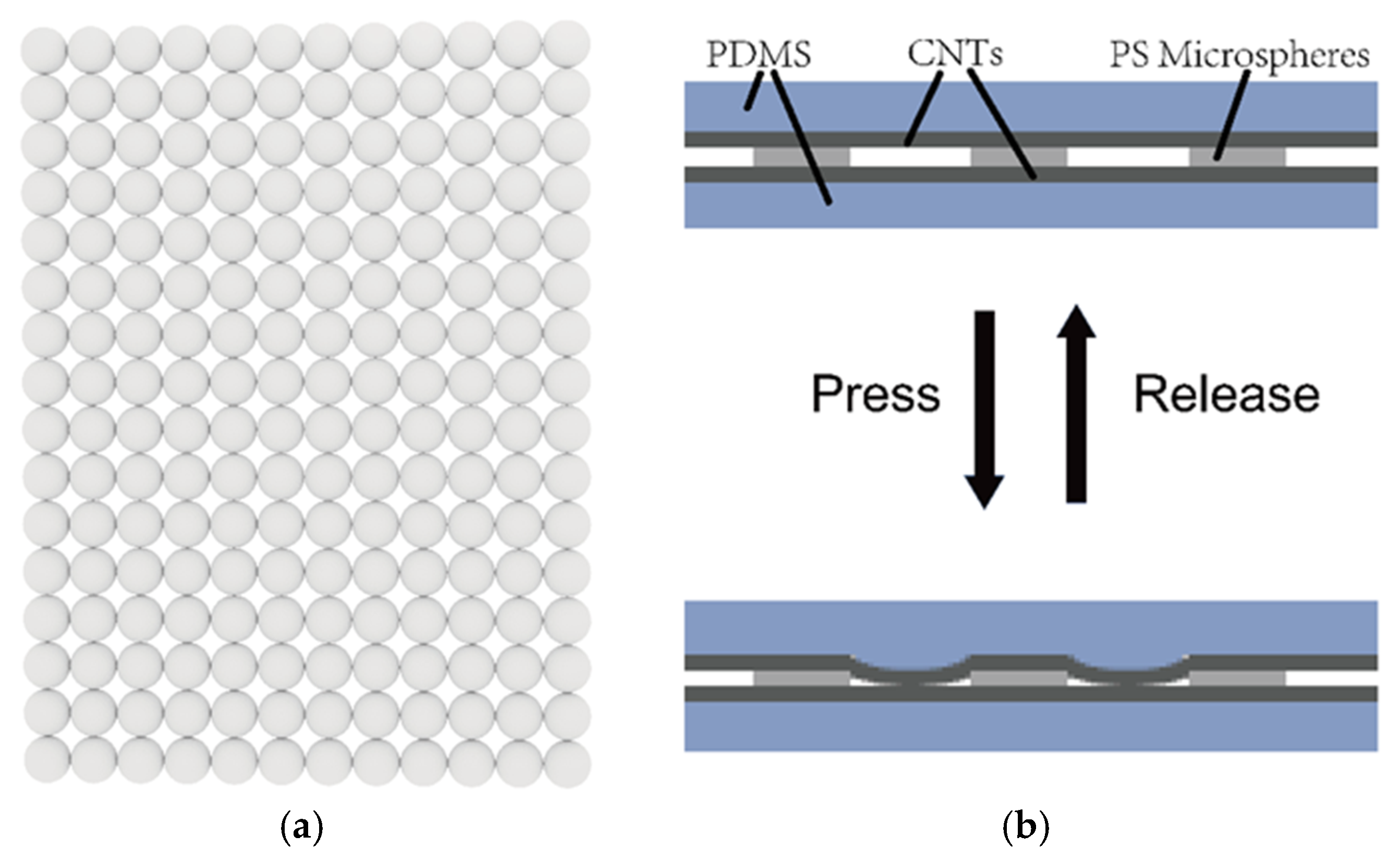 Sensors 19 05194 g002 Sensors 19 05194 g002