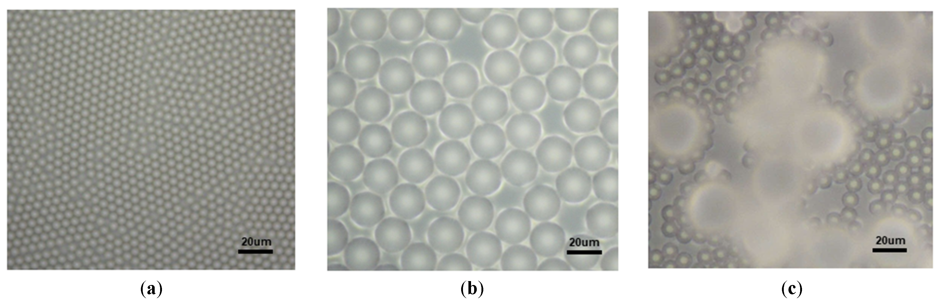 Sensors 19 05194 g004 Sensors 19 05194 g004