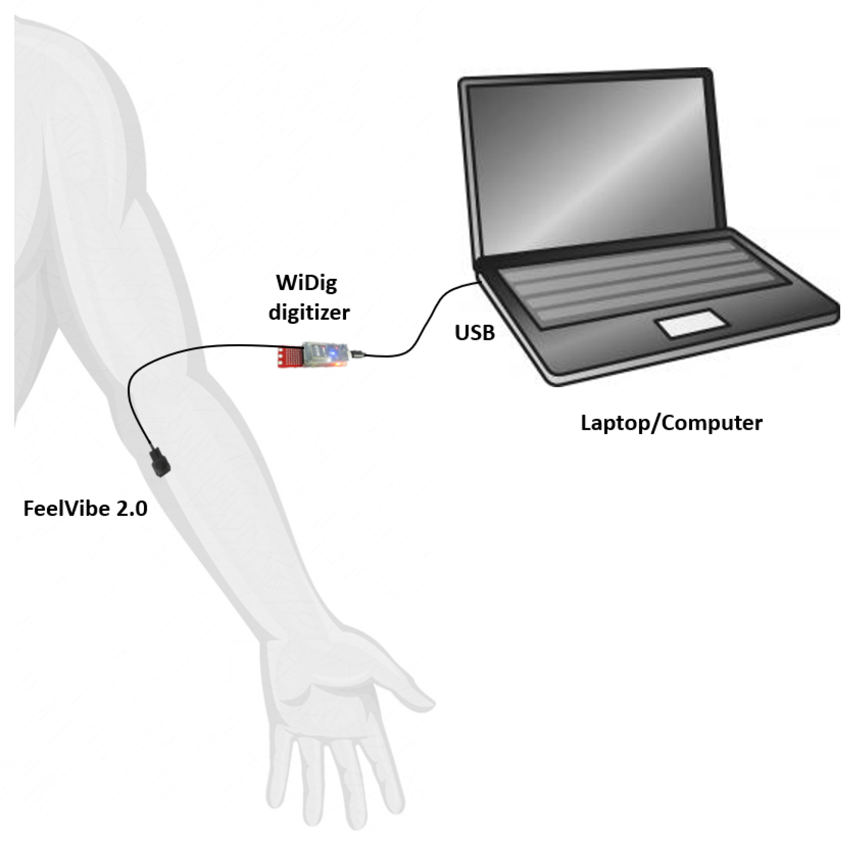 Sensors 19 05209 g001