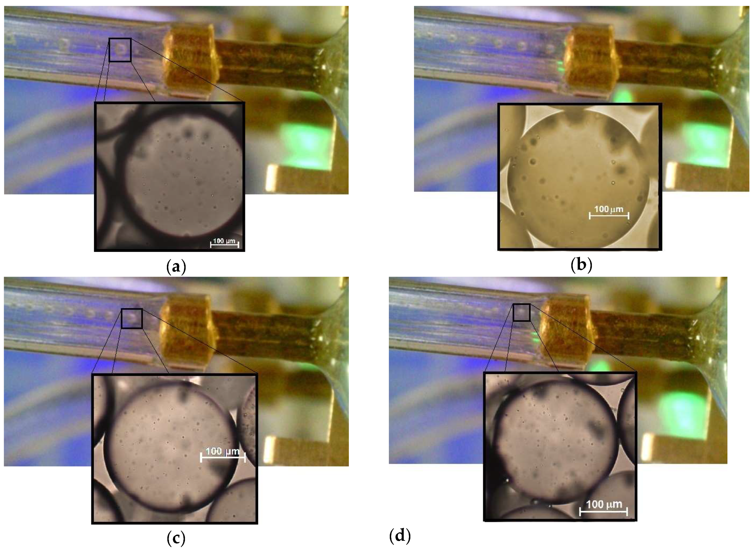 Sensors 19 05216 g005 550