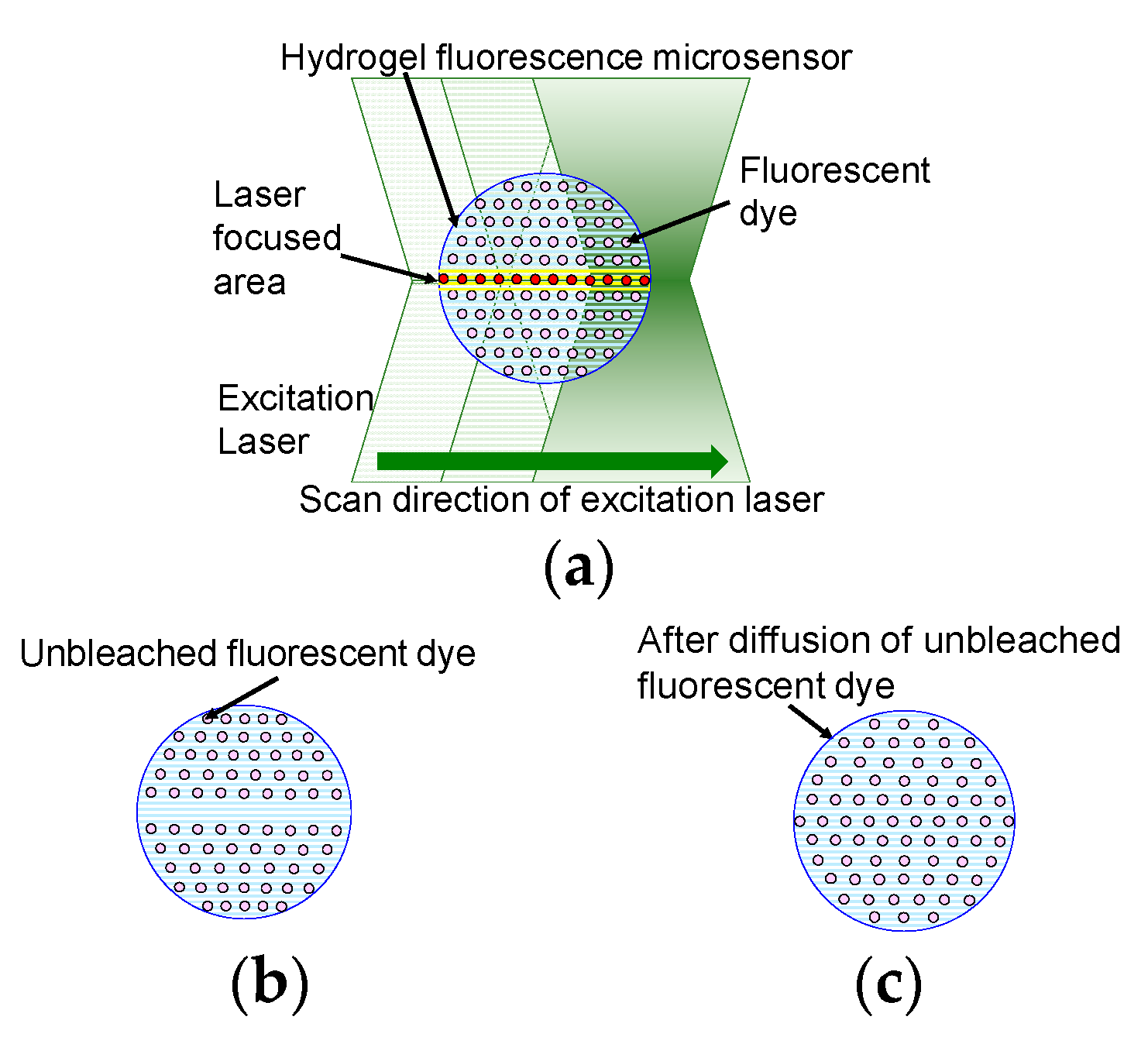 Sensors 19 05247 g001 550