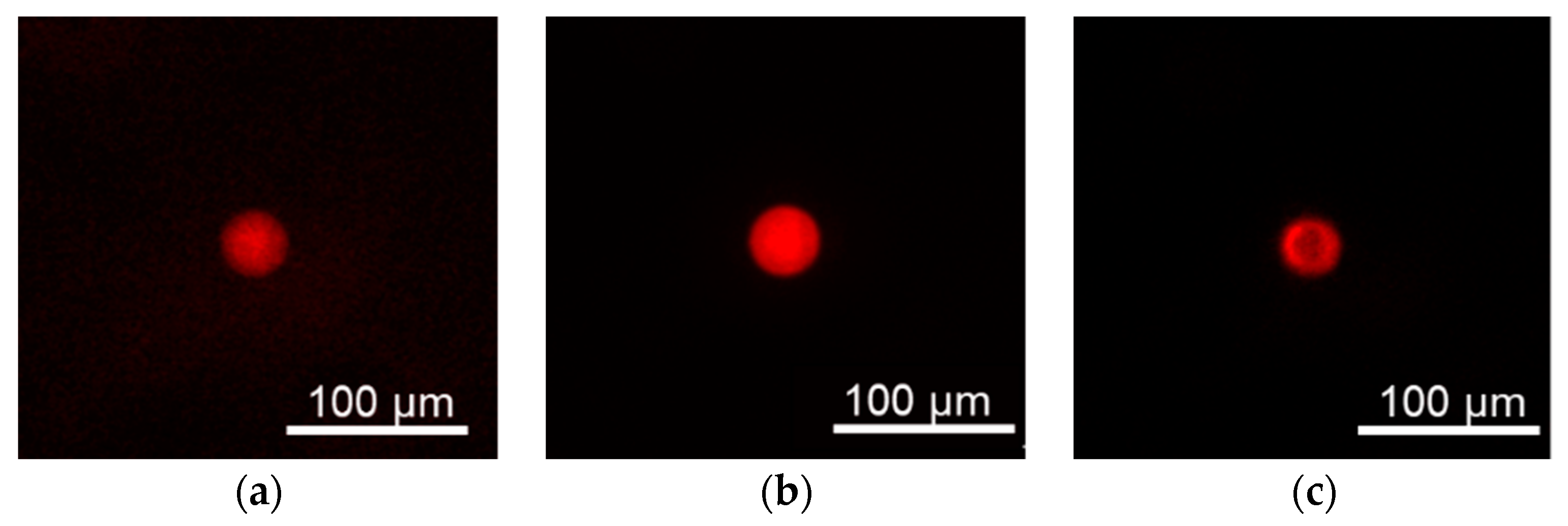 Sensors 19 05247 g003 550