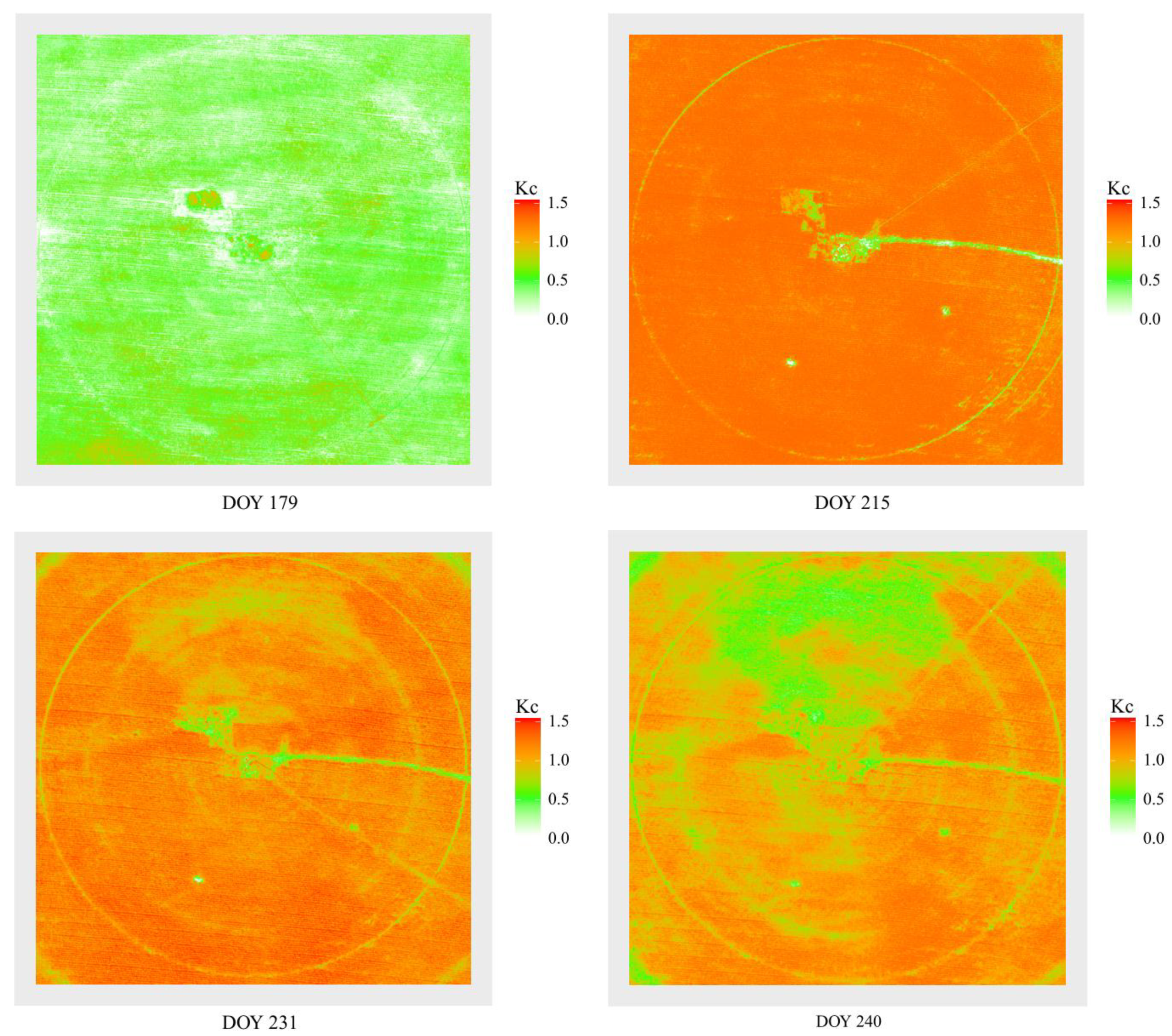 Sensors 19 05250 g005