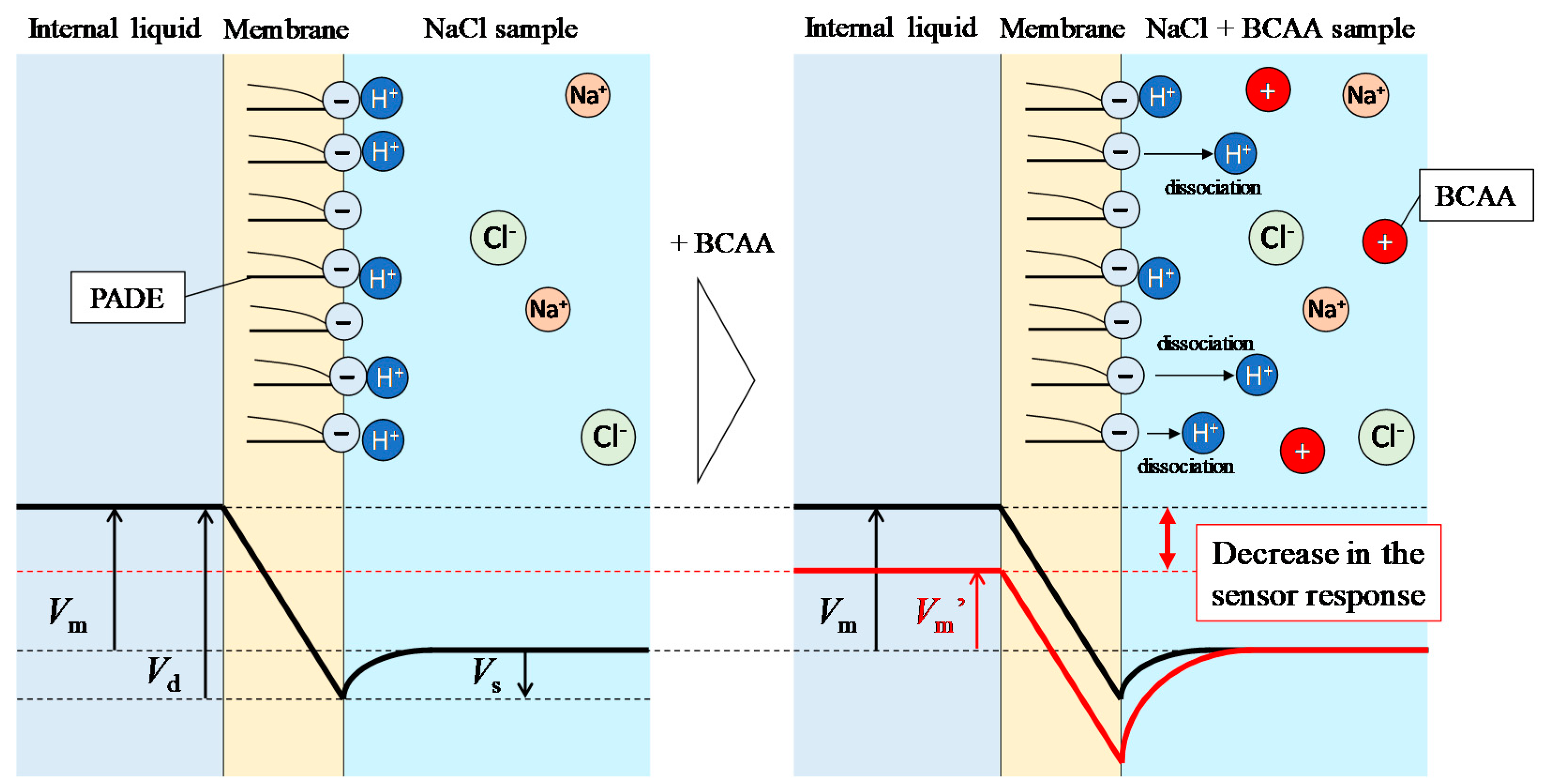 Sensors 19 05251 g008 Sensors 19 05251 g008