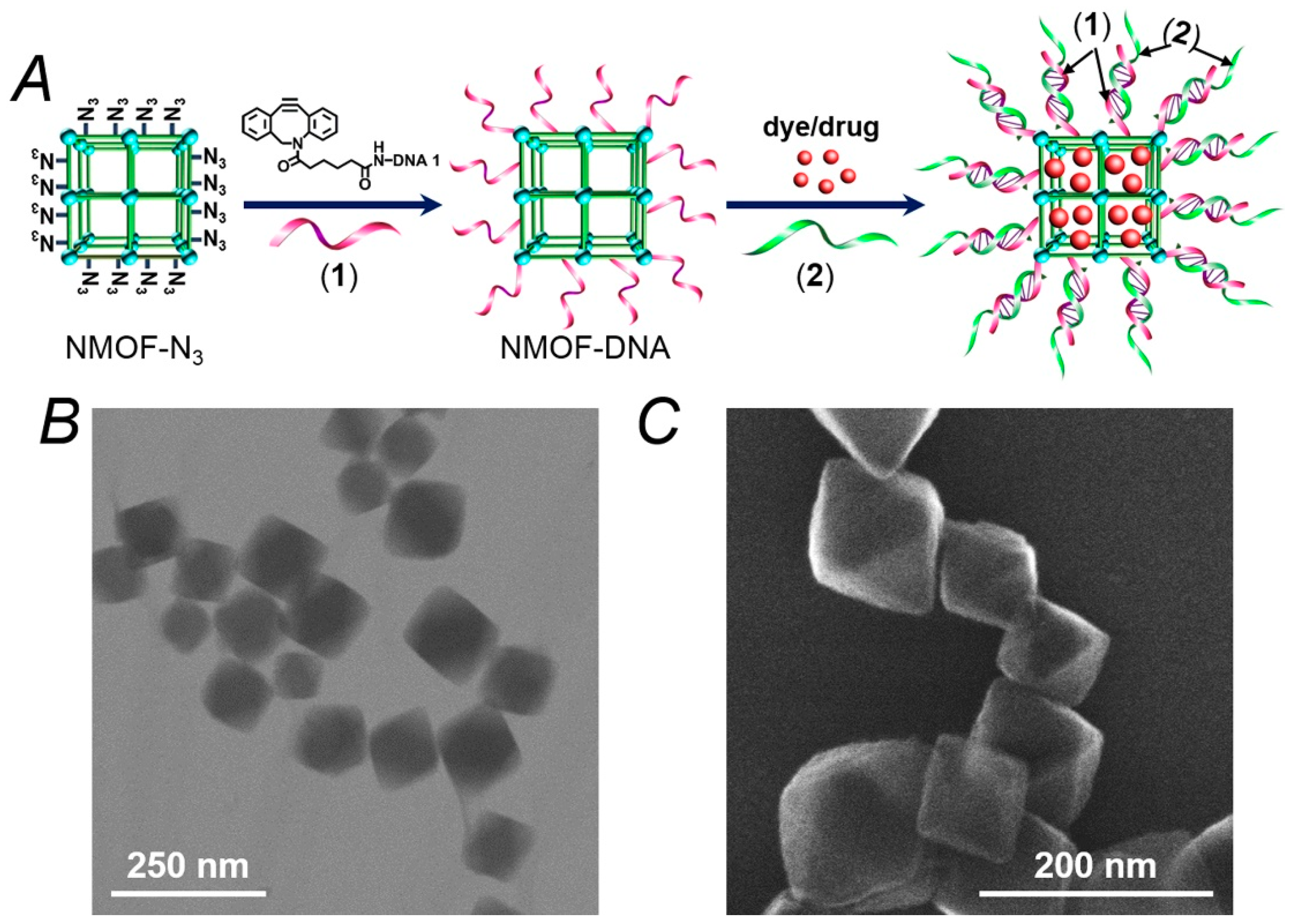 Sensors 19 05260 g001 Sensors 19 05260 g001