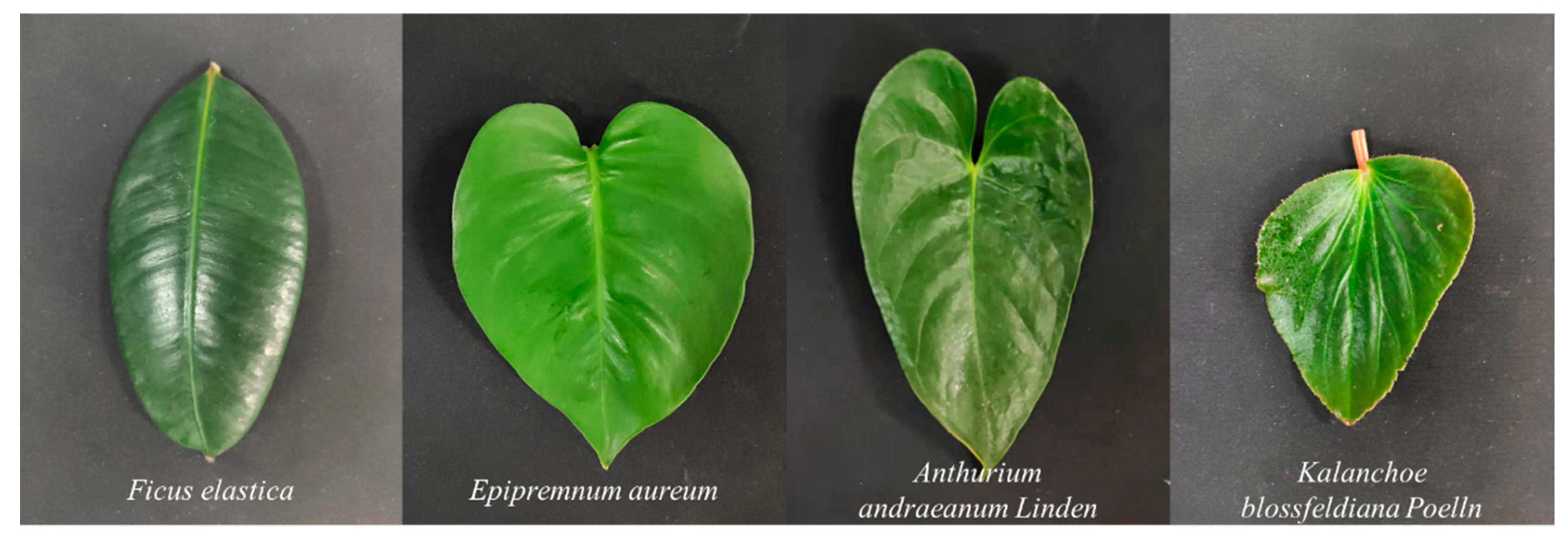 Sensors 19 05263 g003 550