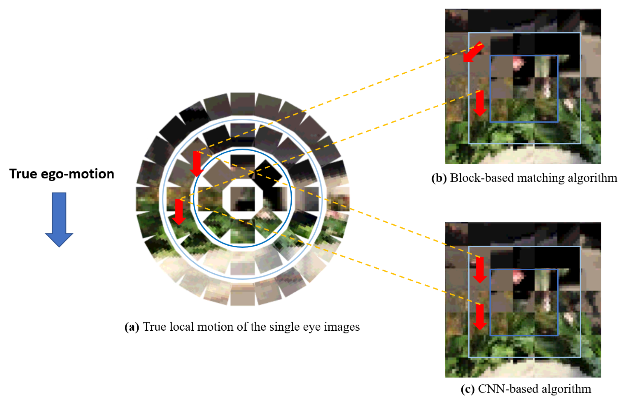 Sensors 19 05275 g012