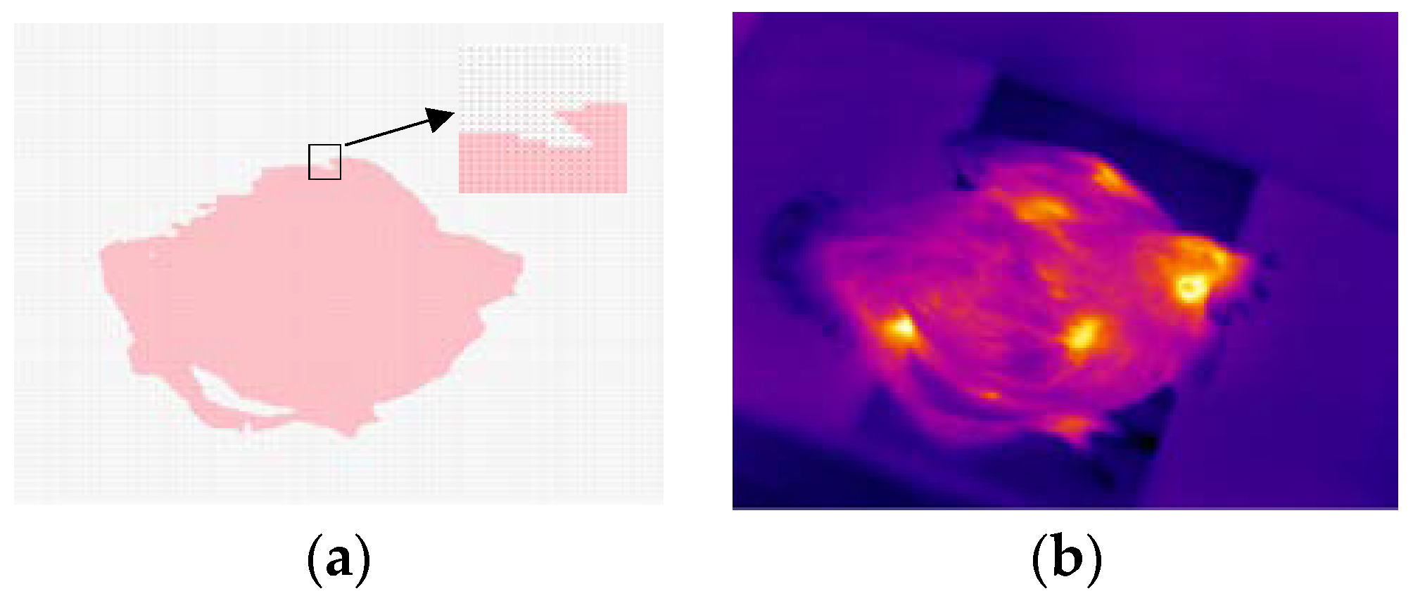 Sensors 19 05286 g002 Sensors 19 05286 g002