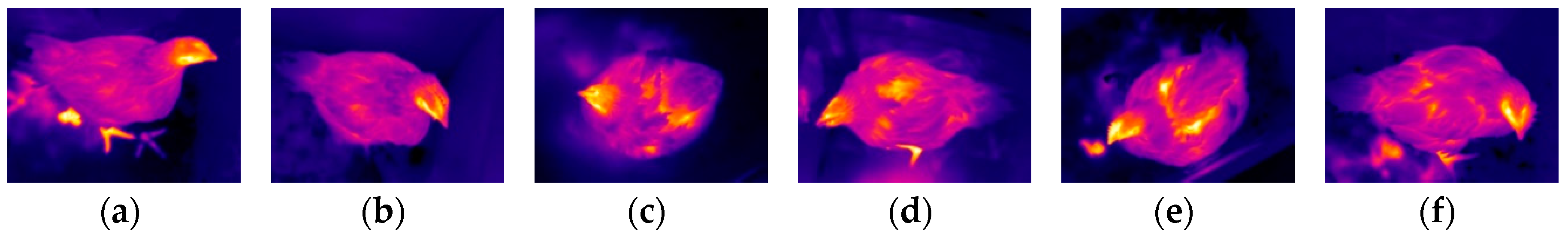 Sensors 19 05286 g010 Sensors 19 05286 g010