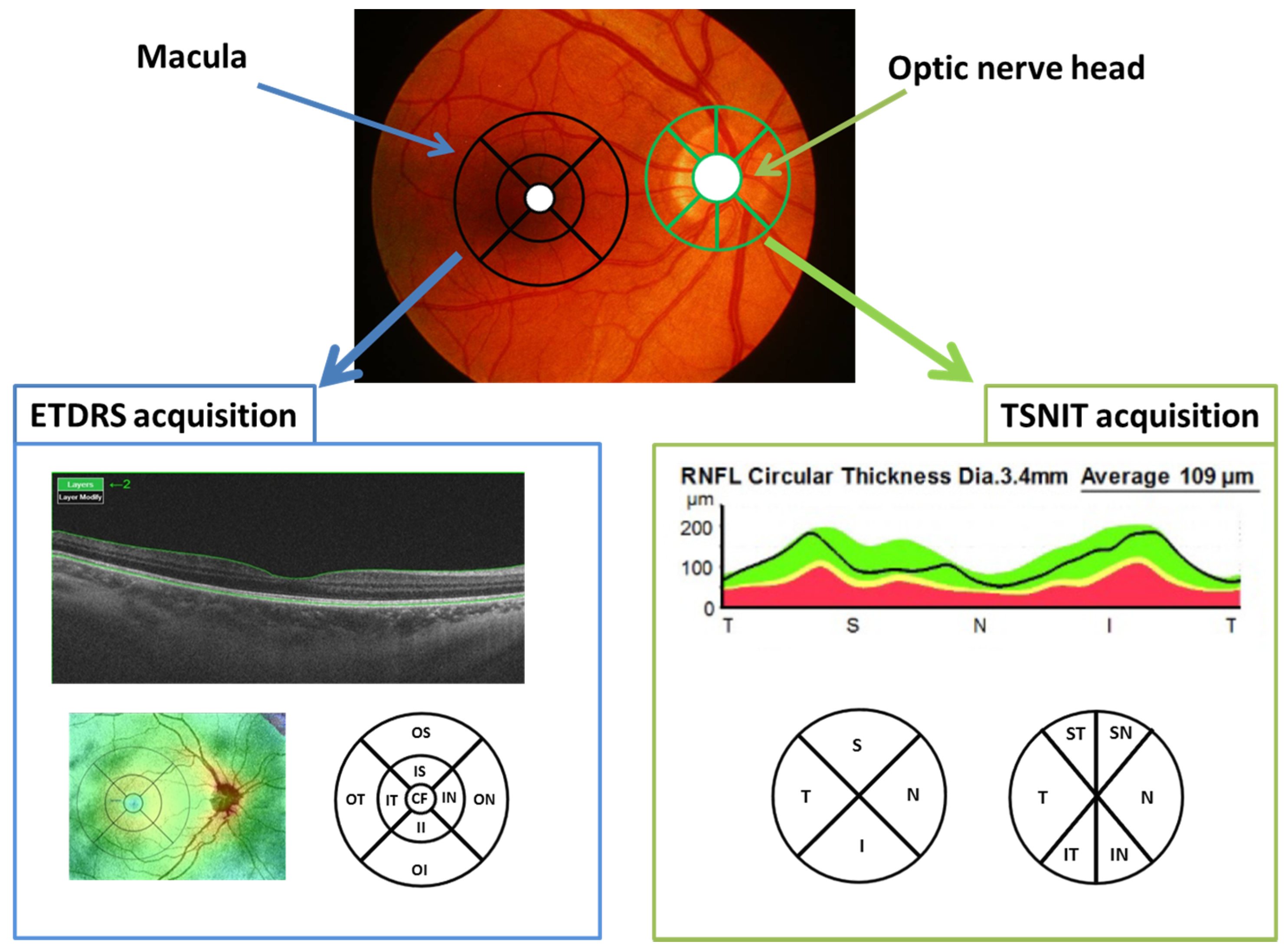 Sensors 19 05323 g002