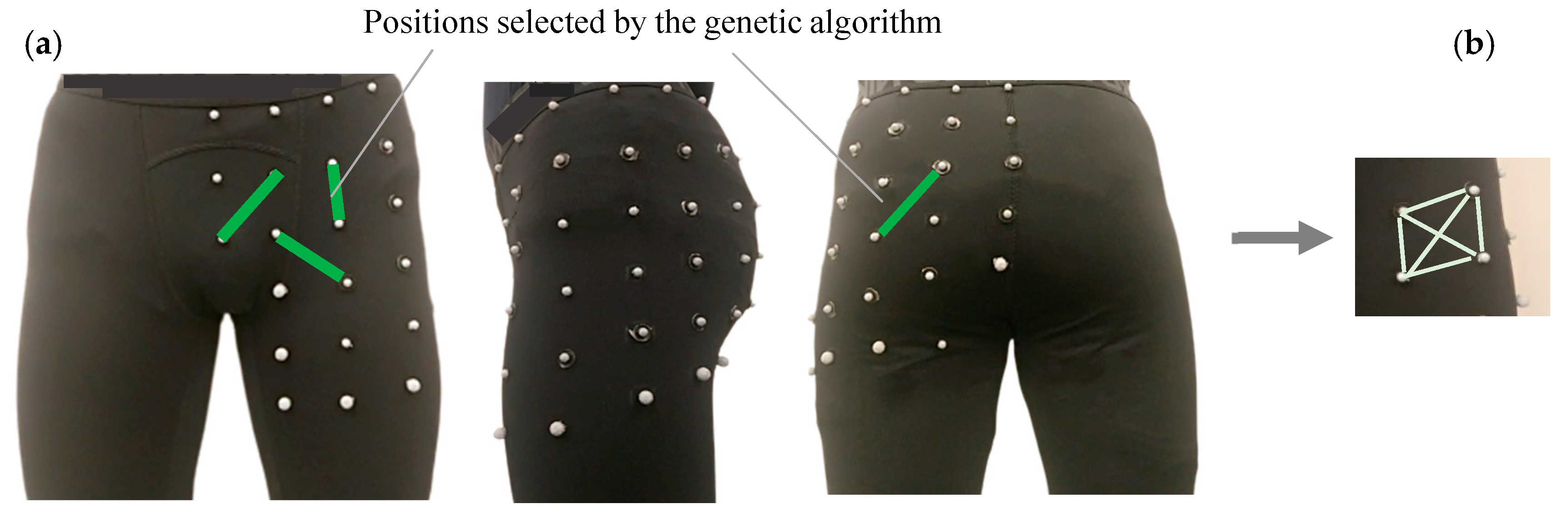Sensors 19 05325 g001