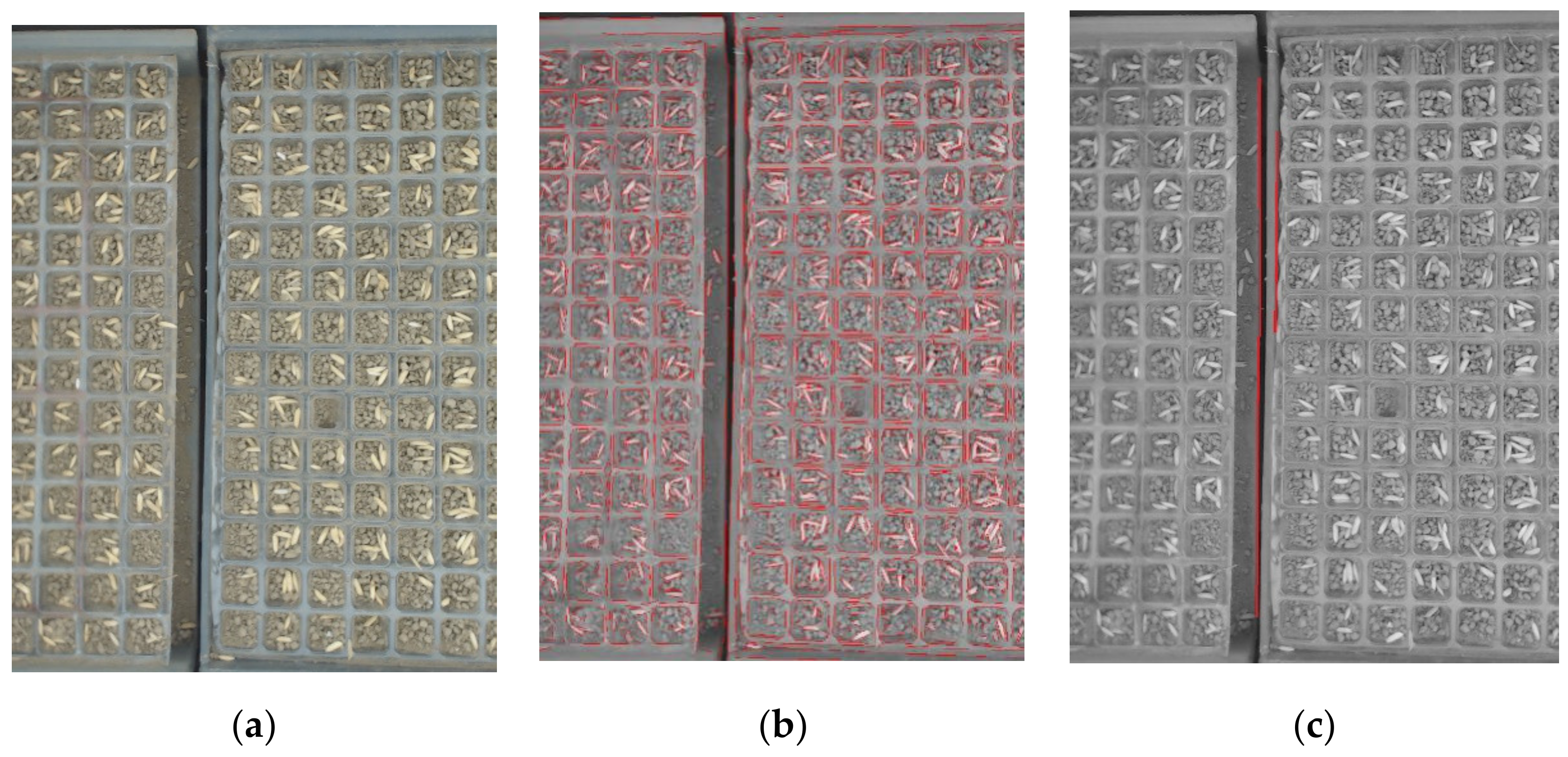 Sensors 19 05332 g004