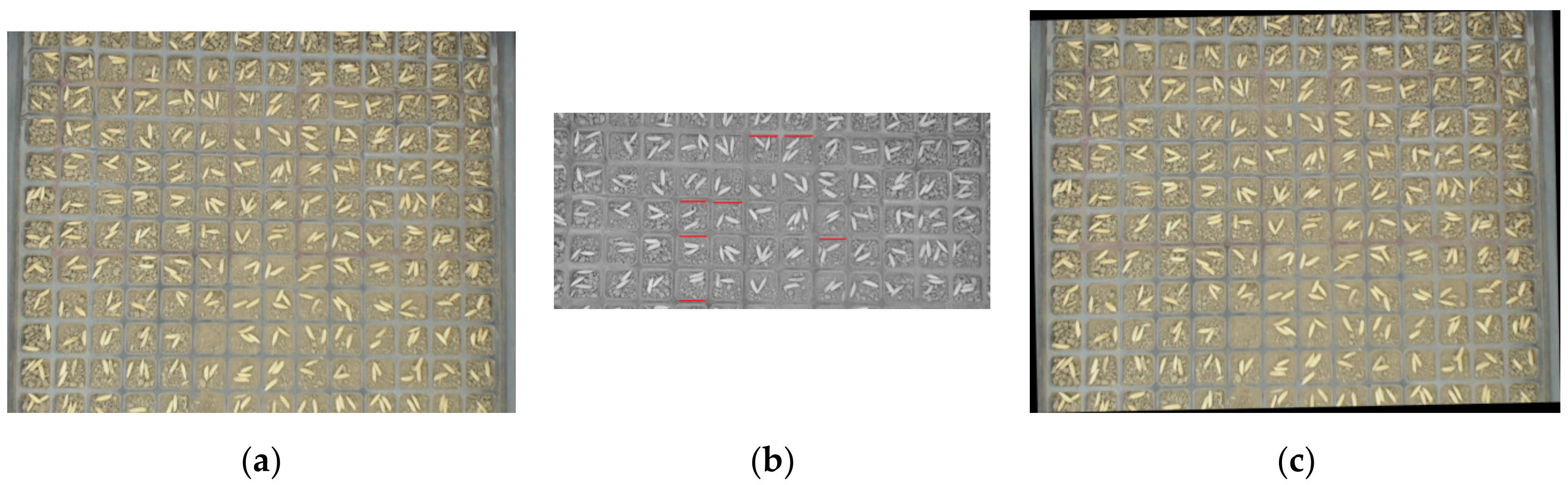 Sensors 19 05332 g005
