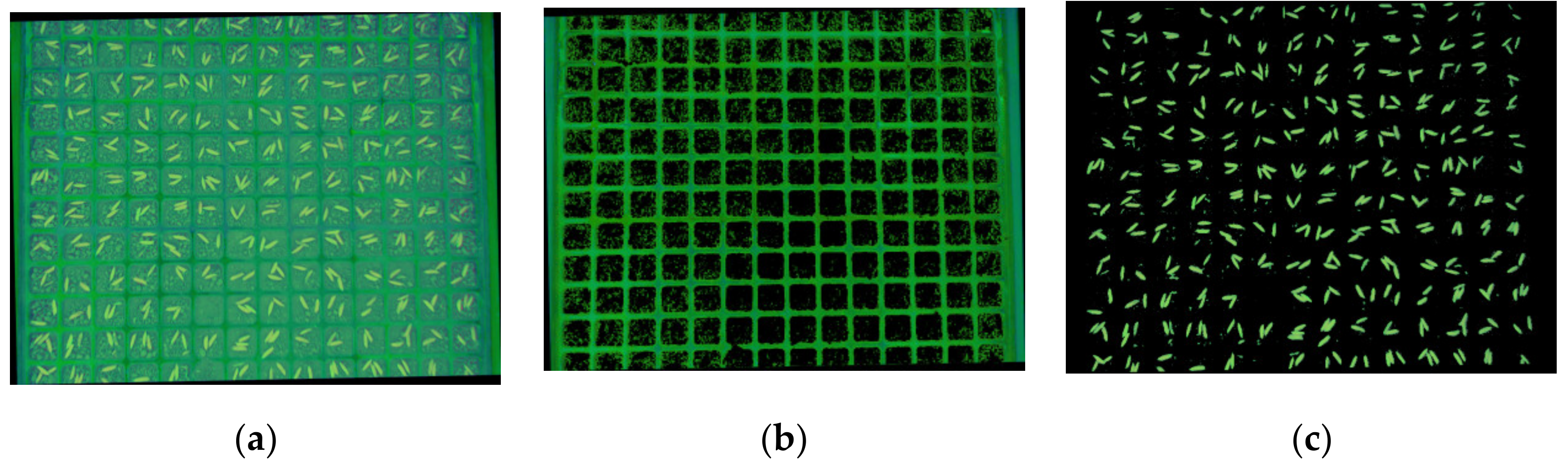 Sensors 19 05332 g007