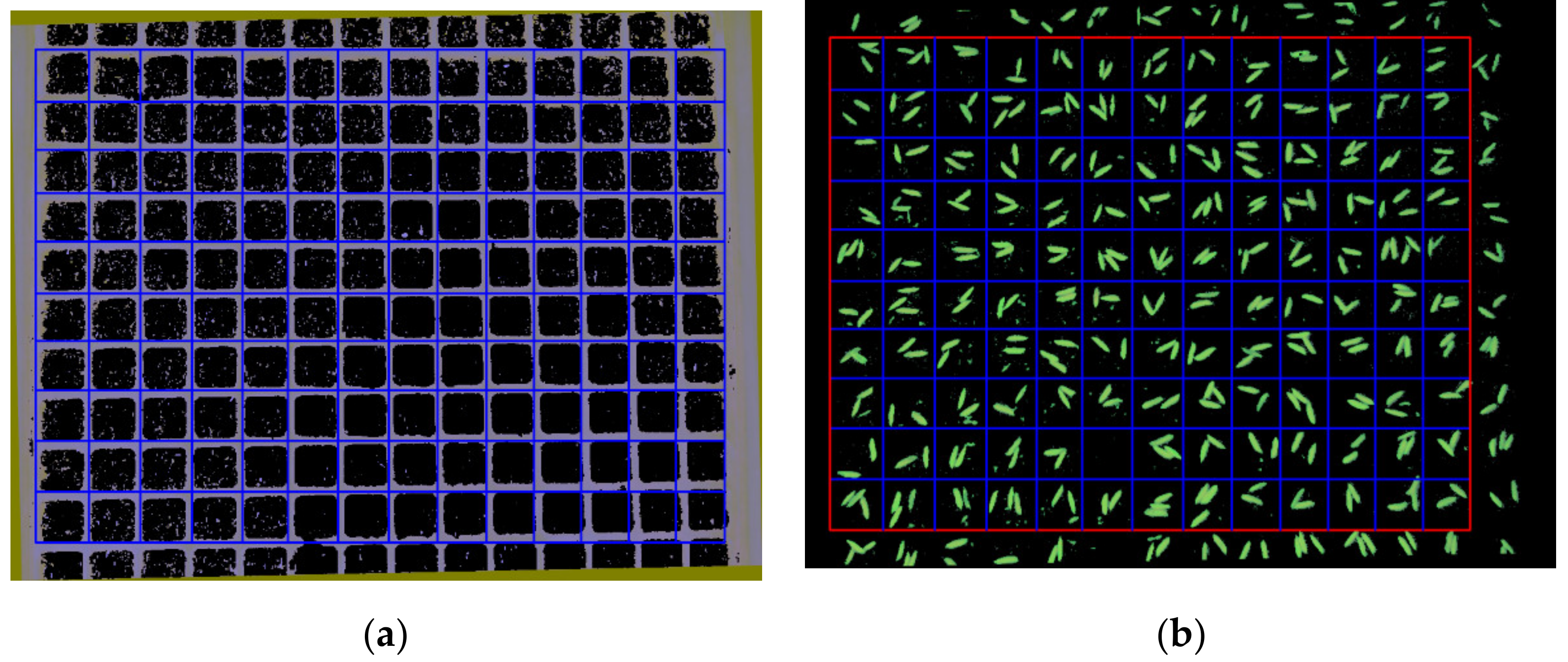 Sensors 19 05332 g009