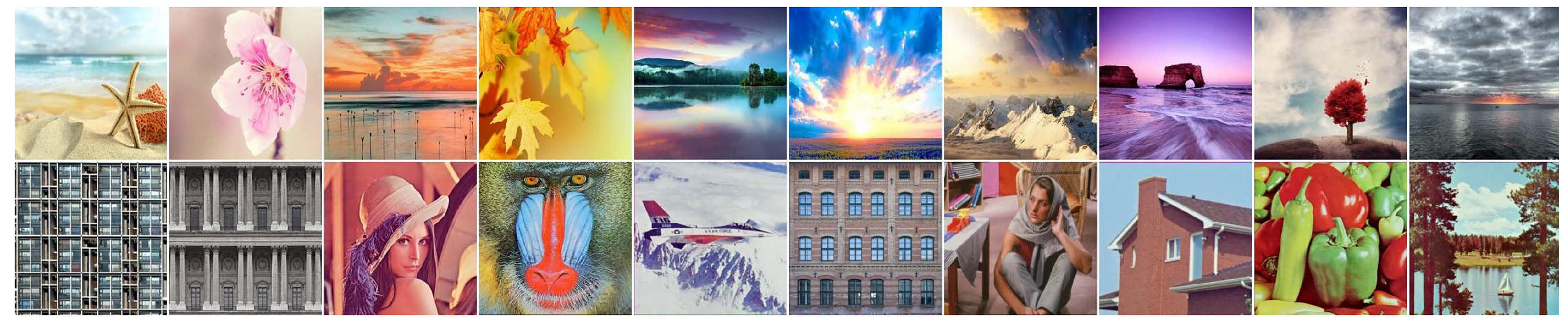 Sensors 19 05335 g005 Sensors 19 05335 g005