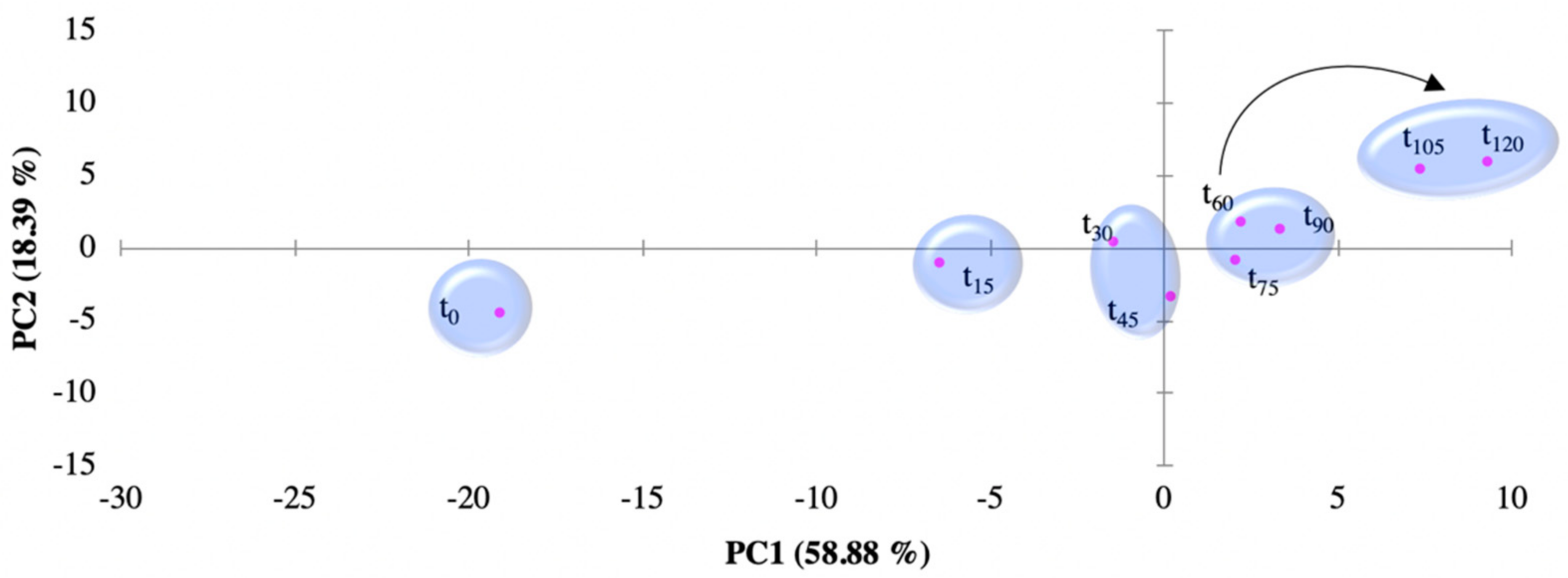 Sensors 19 05349 g004