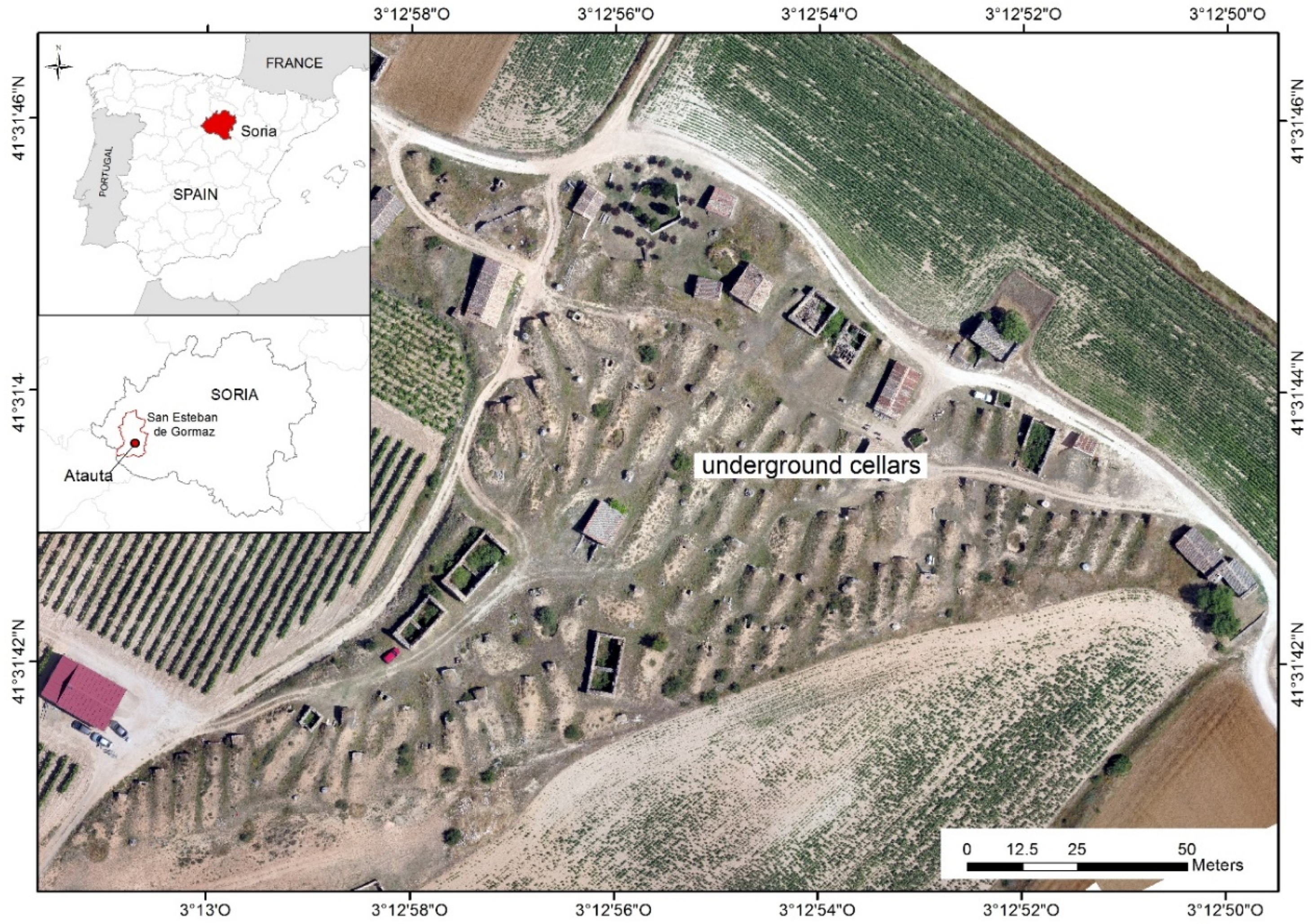 Sensors 19 05352 g001