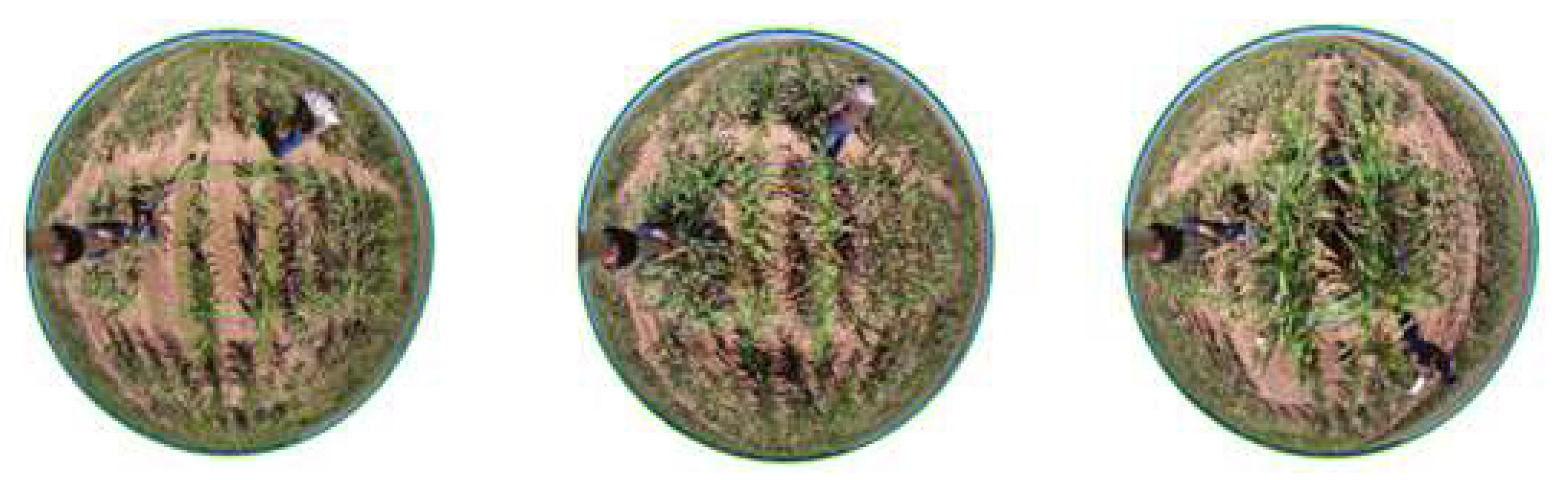 Sensors 19 05358 g005 Sensors 19 05358 g005