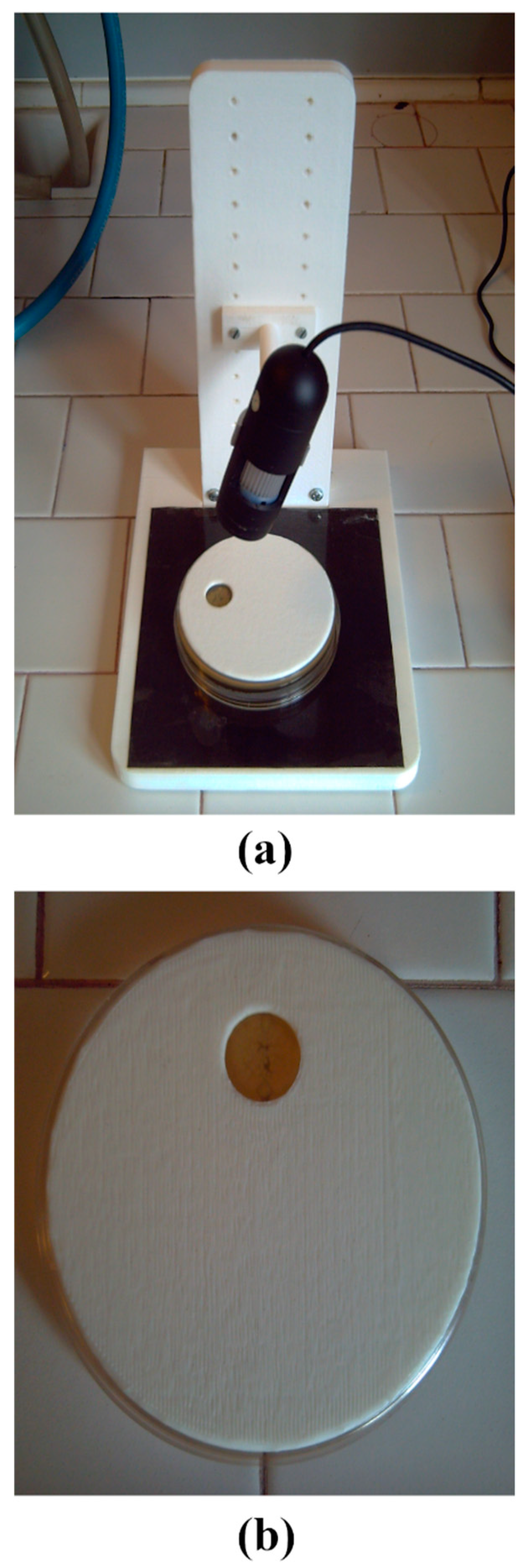 Sensors 19 05367 g001