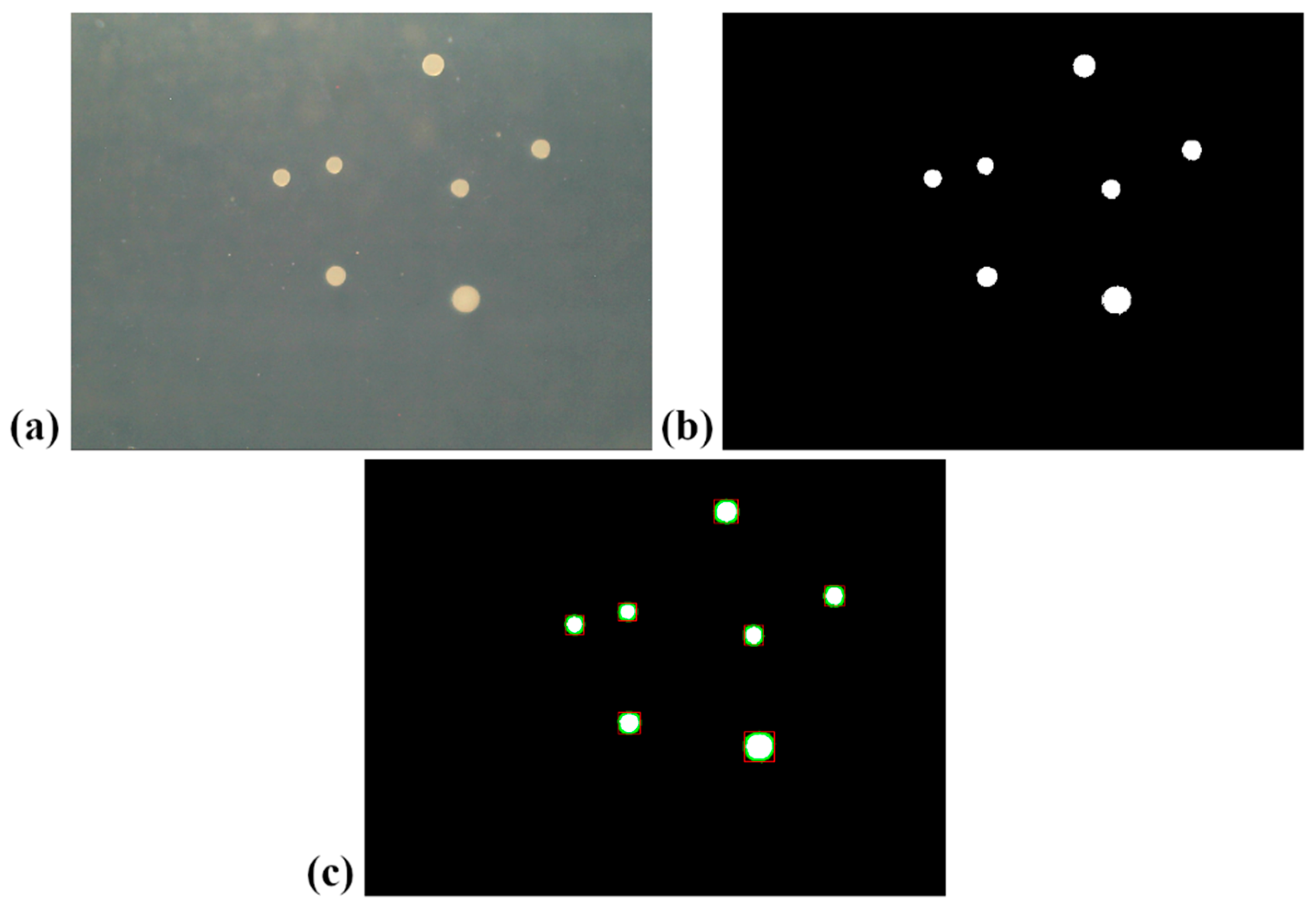 Sensors 19 05367 g002