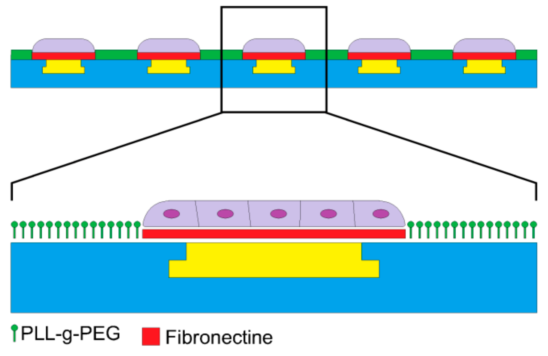 Sensors 19 05379 g007 Sensors 19 05379 g007