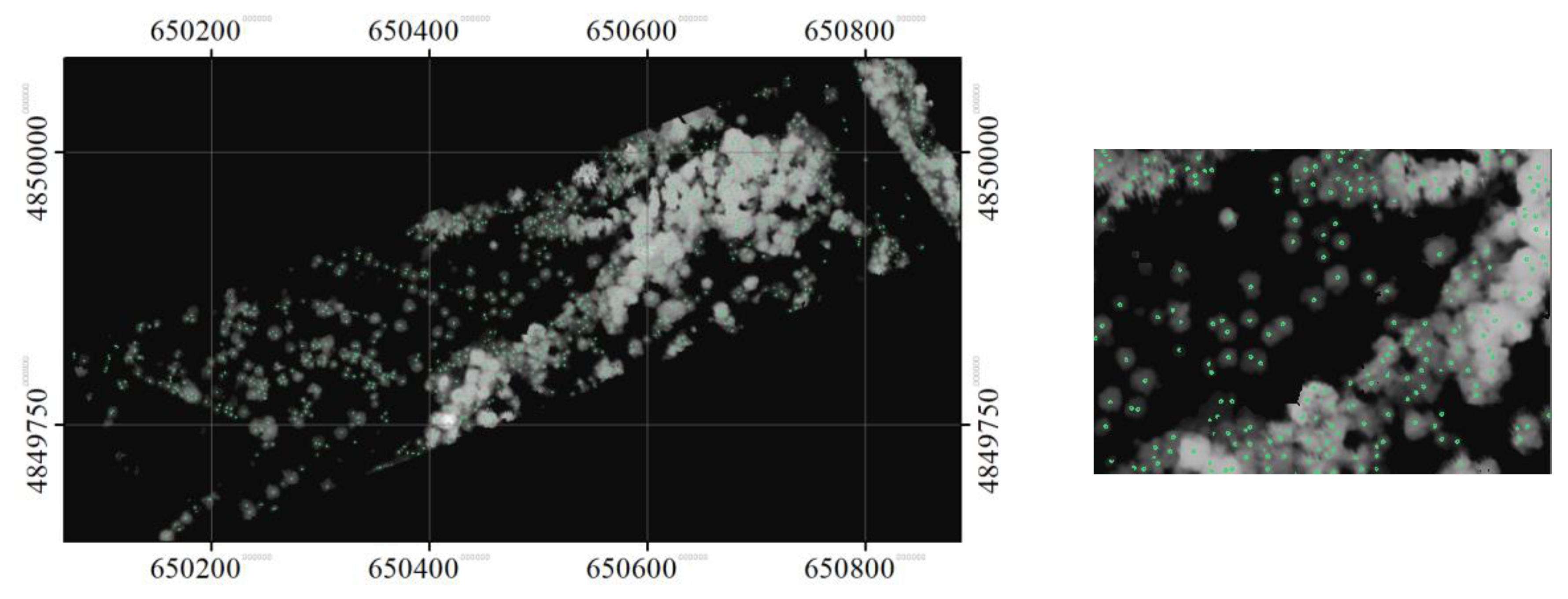Sensors 19 05421 g010