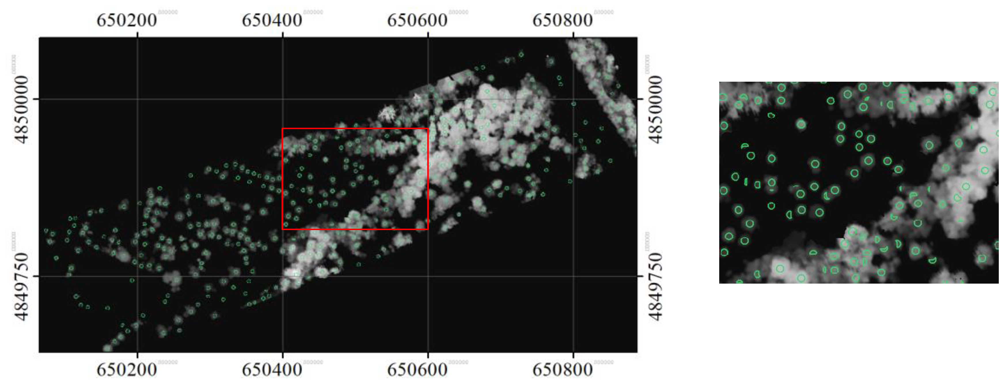 Sensors 19 05421 g012