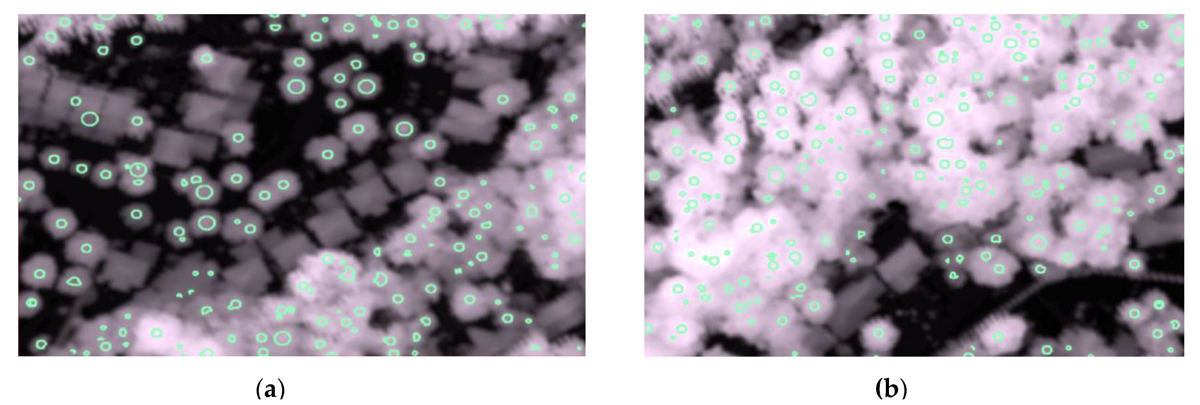 Sensors 19 05421 g014