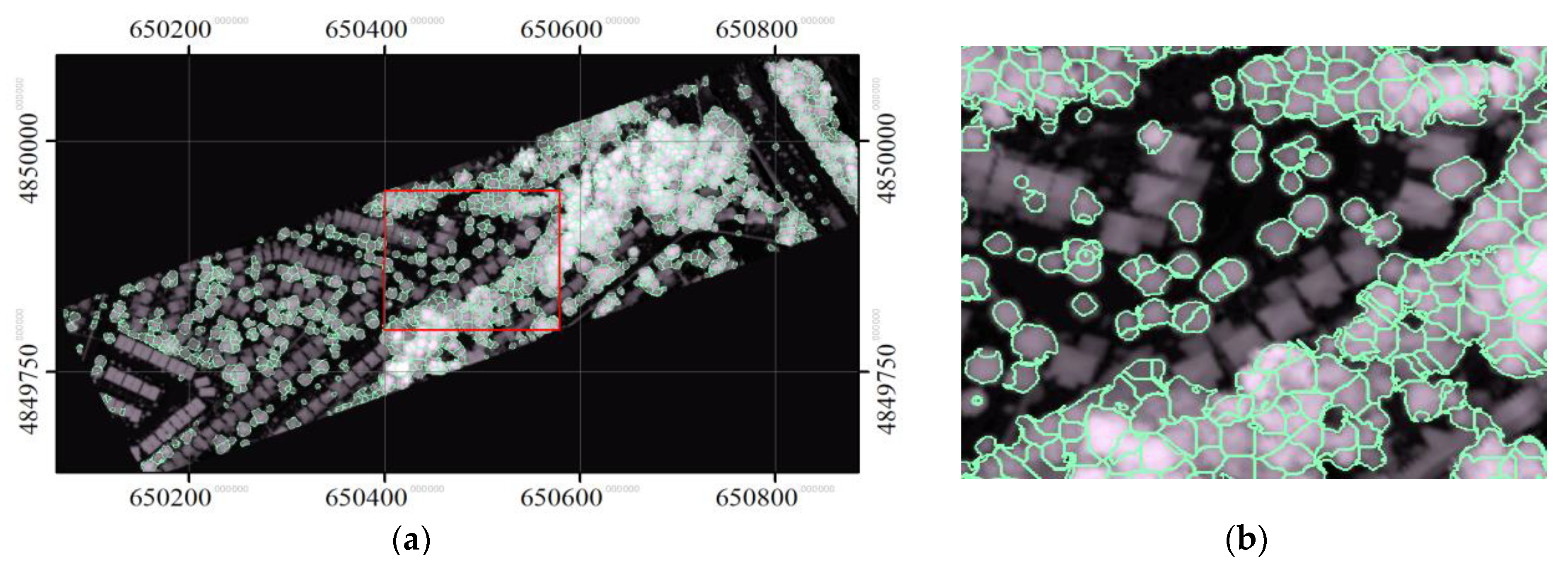 Sensors 19 05421 g015