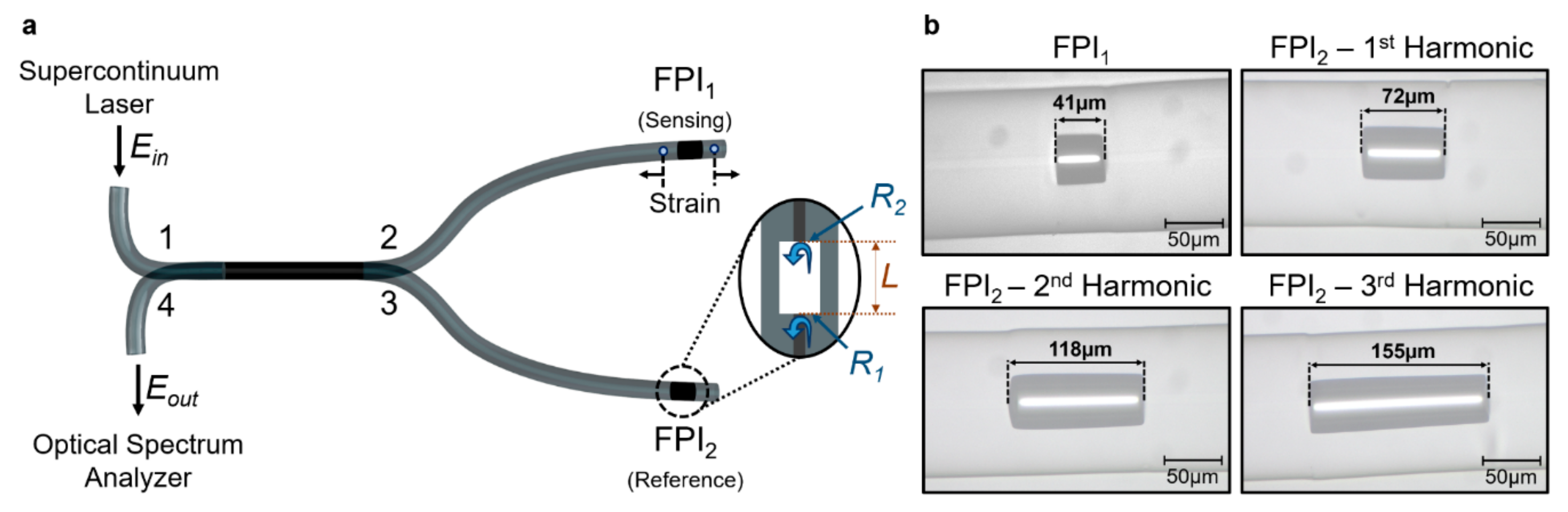 Sensors 19 05431 g004 Sensors 19 05431 g004
