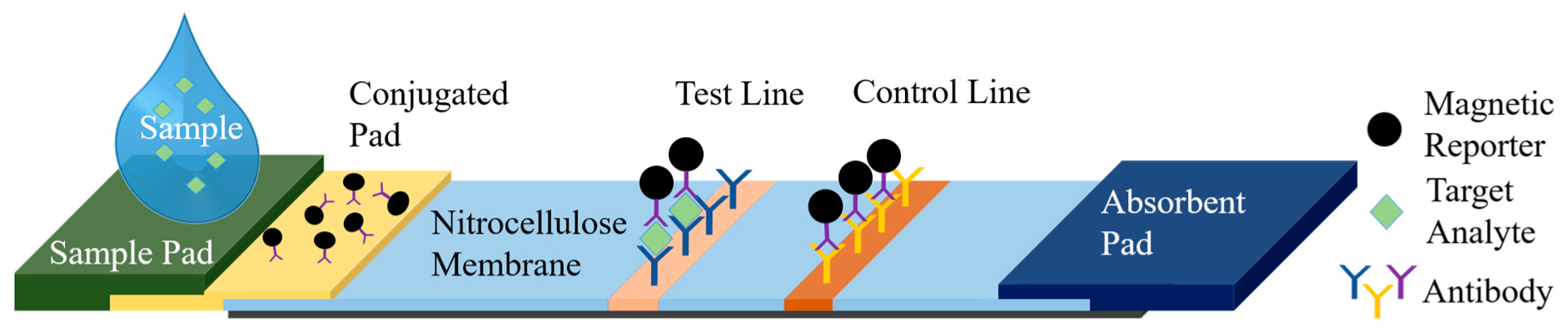 Sensors 19 05433 g001