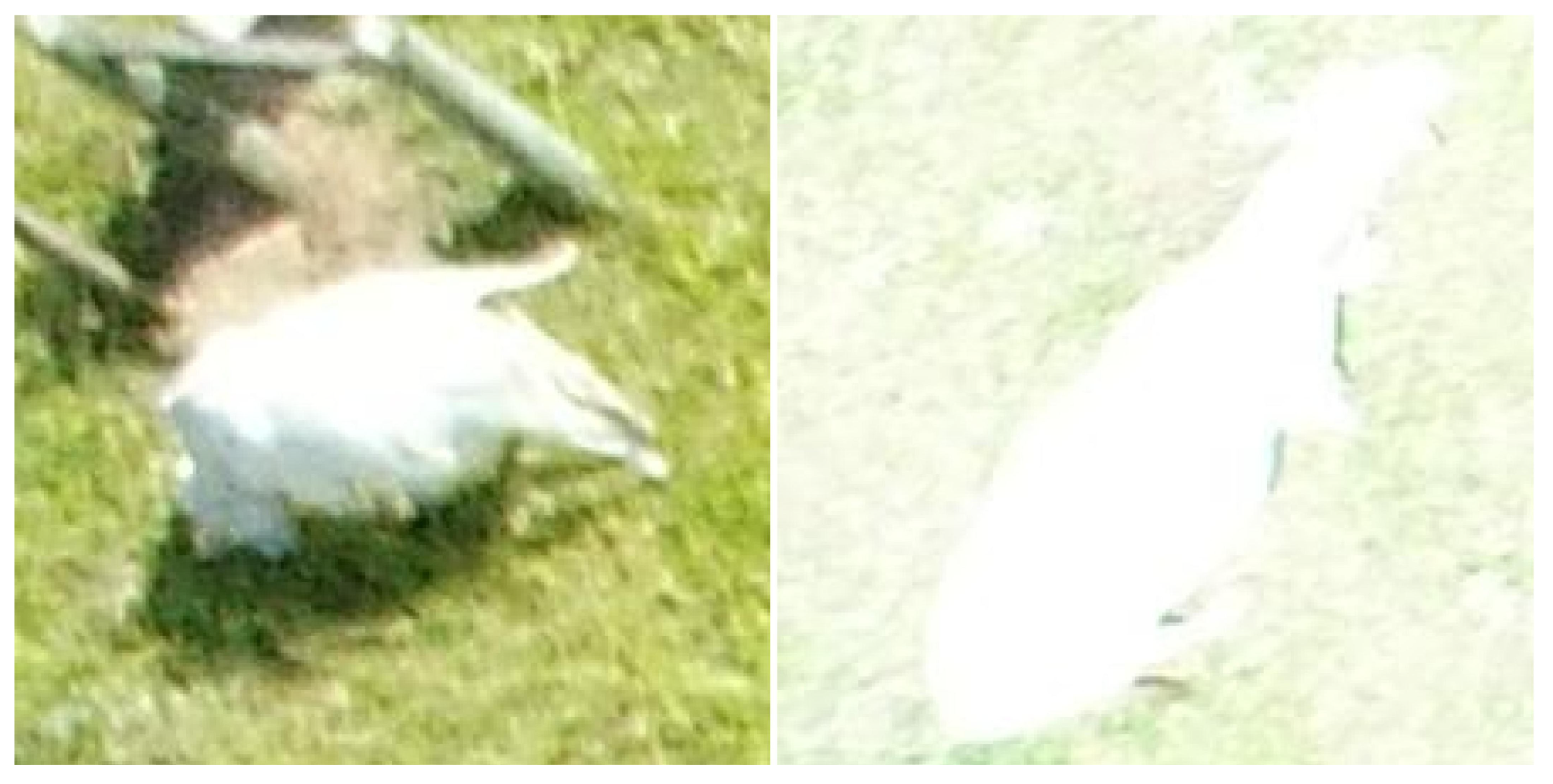 Sensors 19 05436 g002