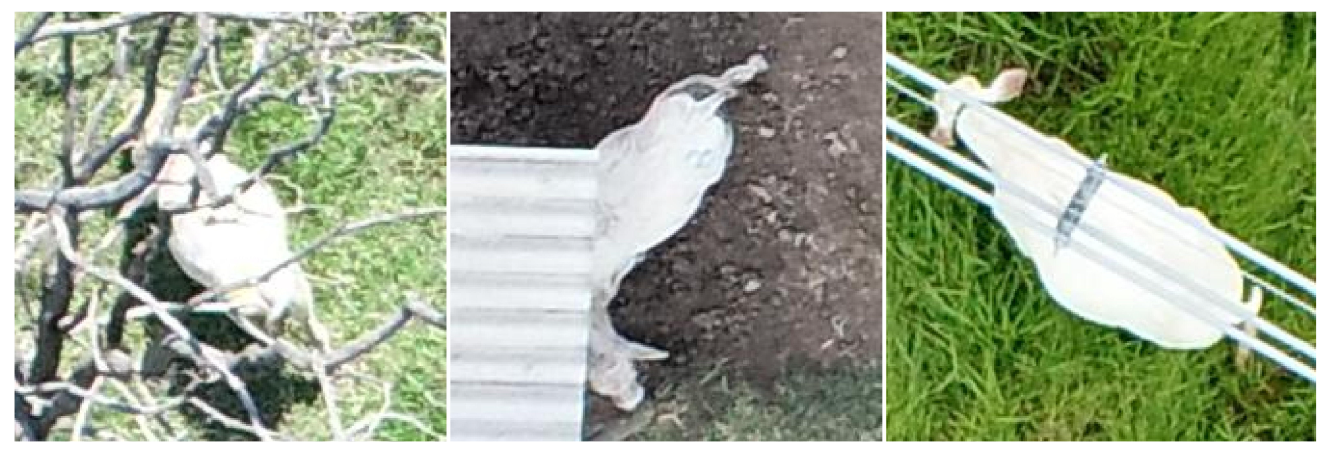 Sensors 19 05436 g004