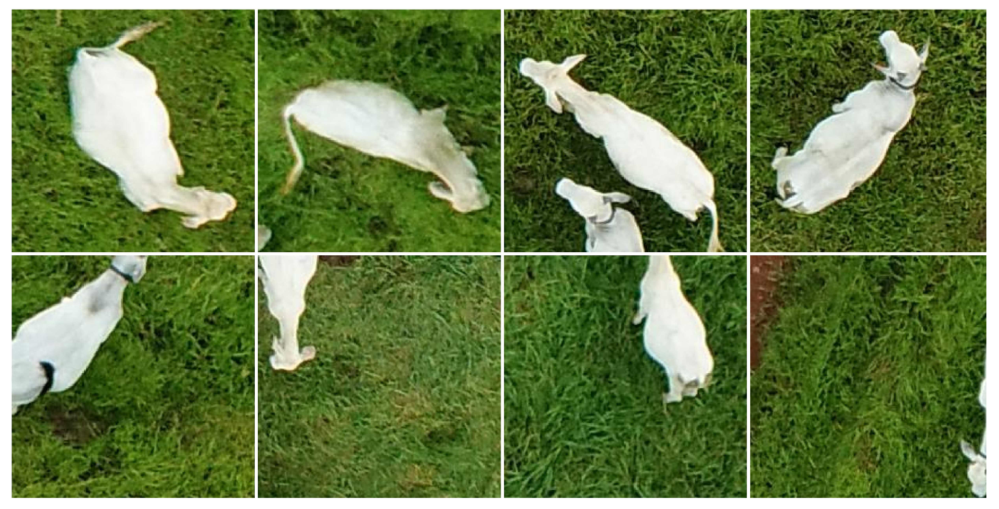 Sensors 19 05436 g005