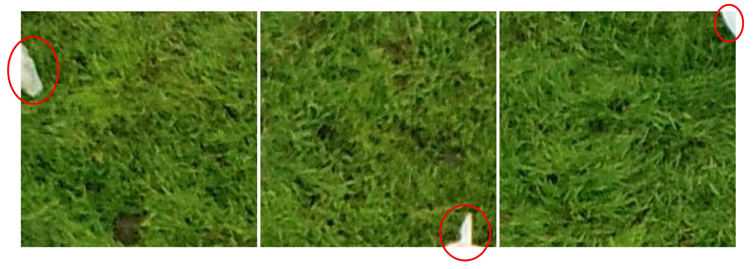 Sensors 19 05436 g009