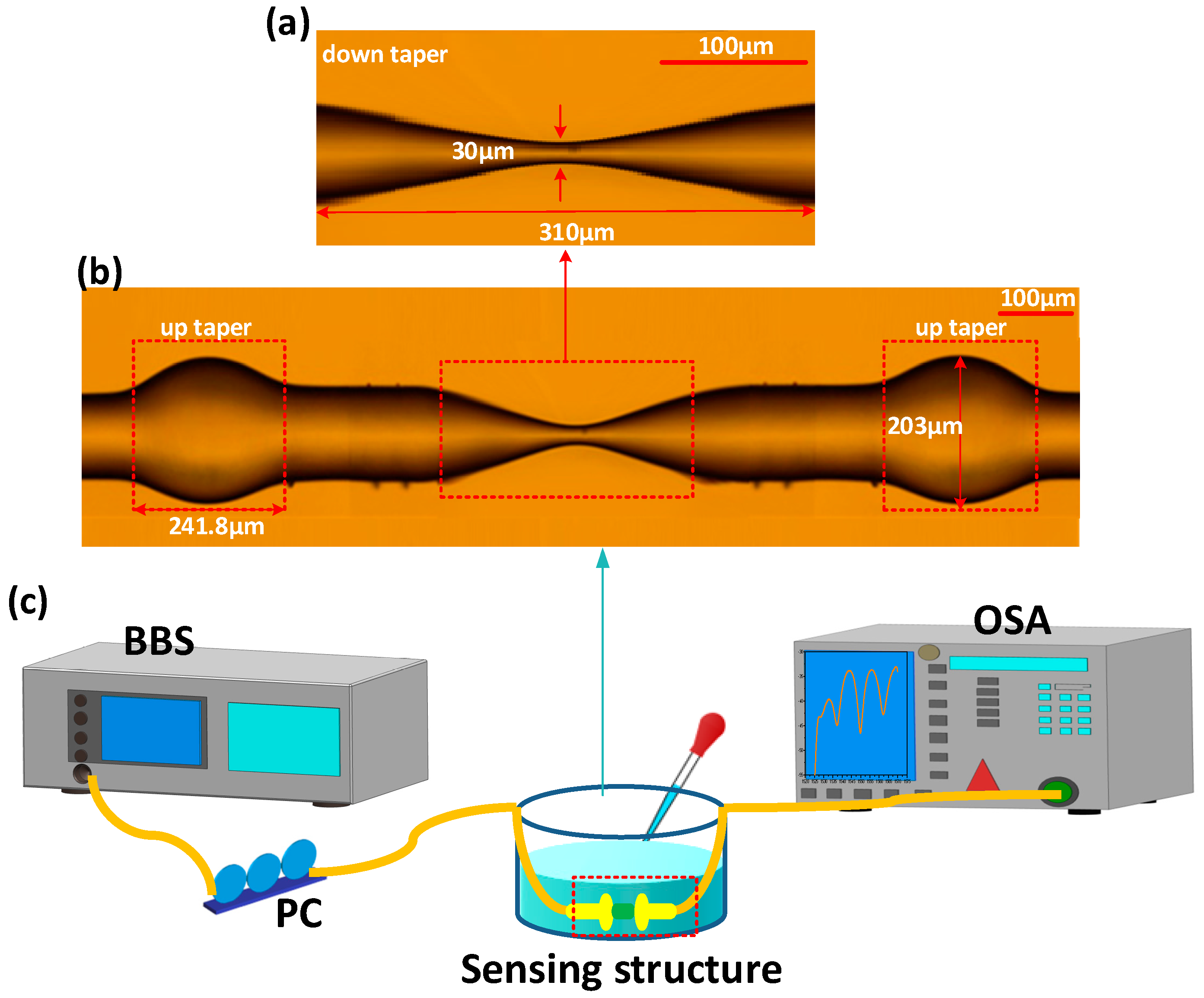 Sensors 19 05440 g005