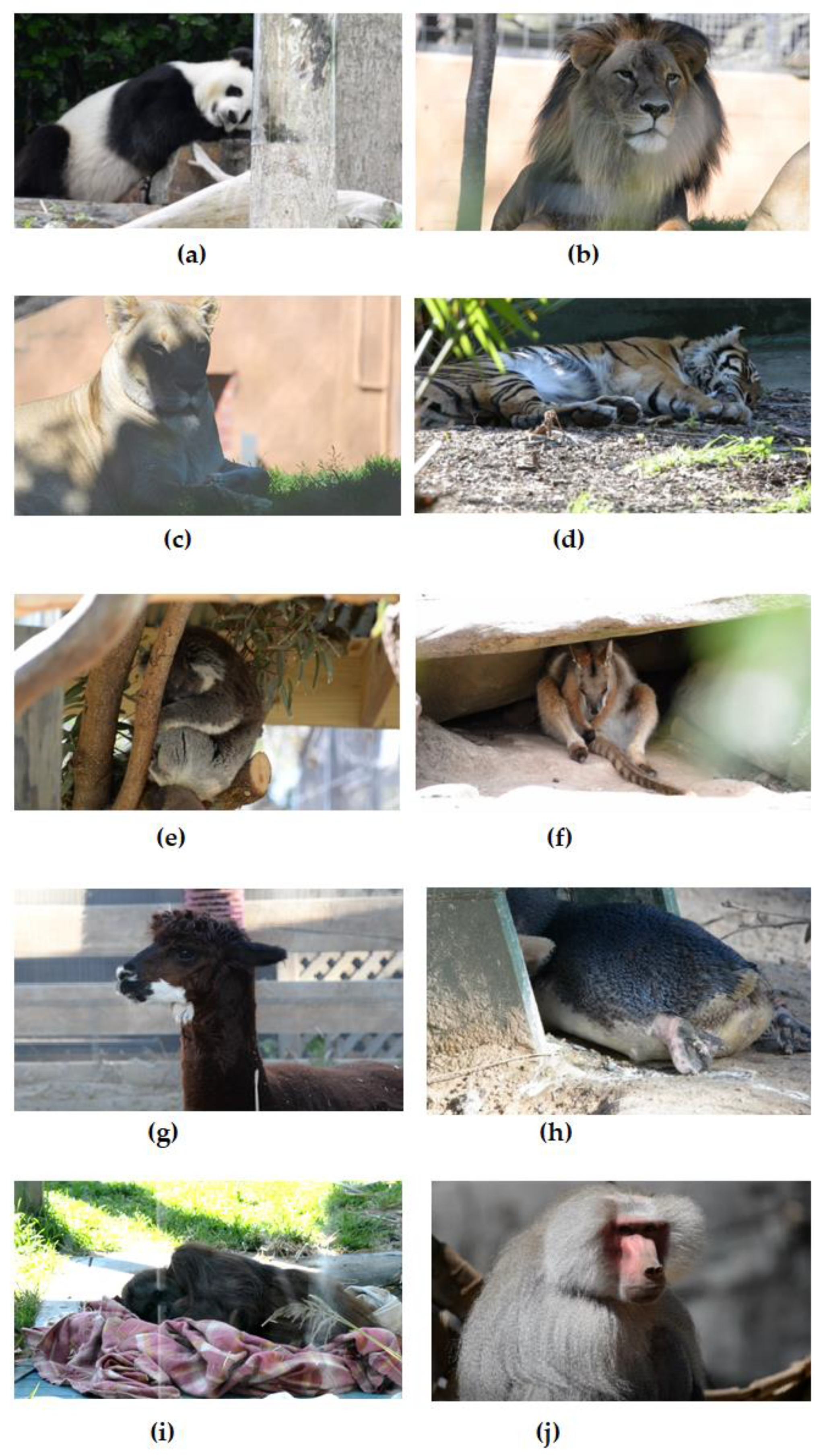 Sensors 19 05445 g001 Sensors 19 05445 g001